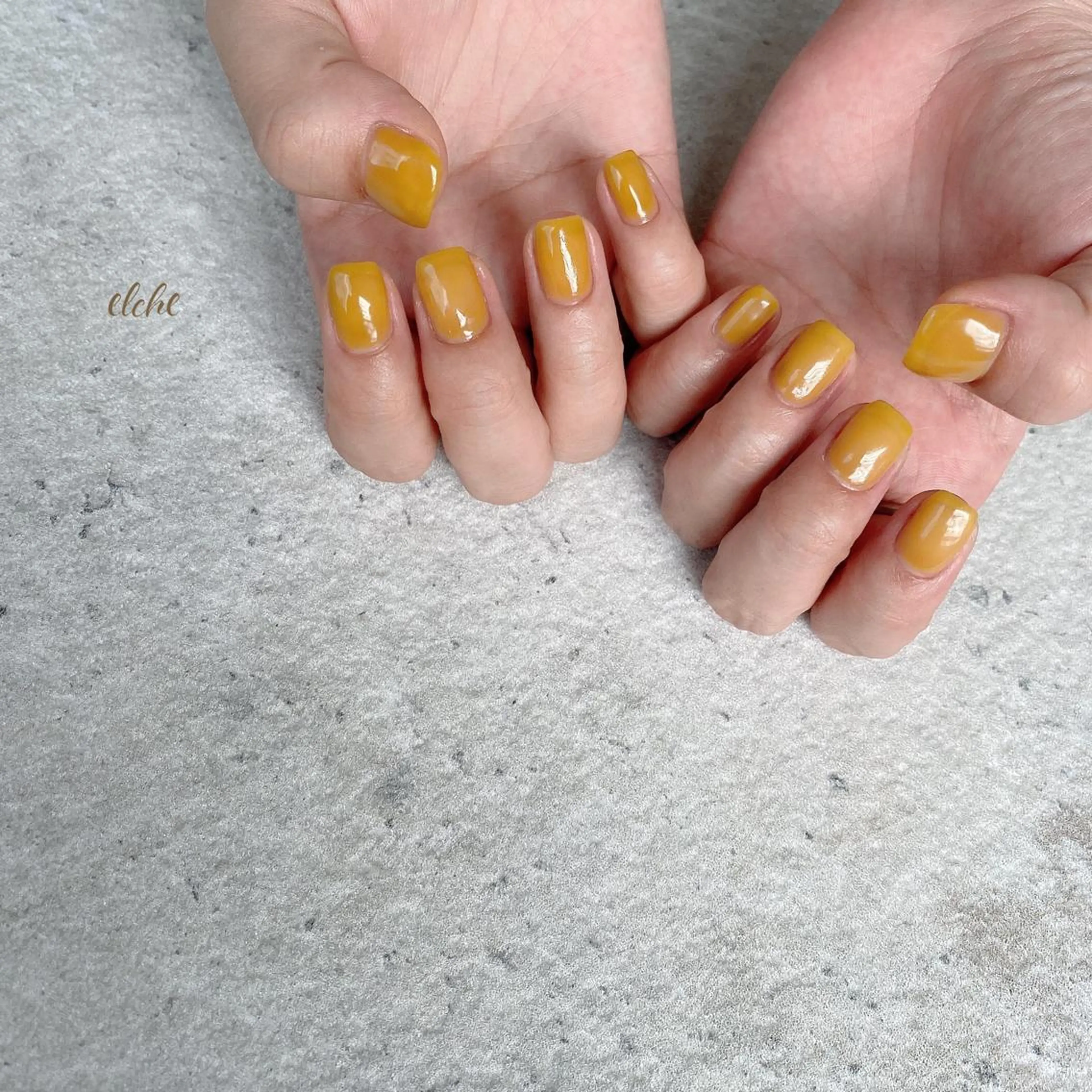 ネイル Rio 𓍼のネイルデザイン