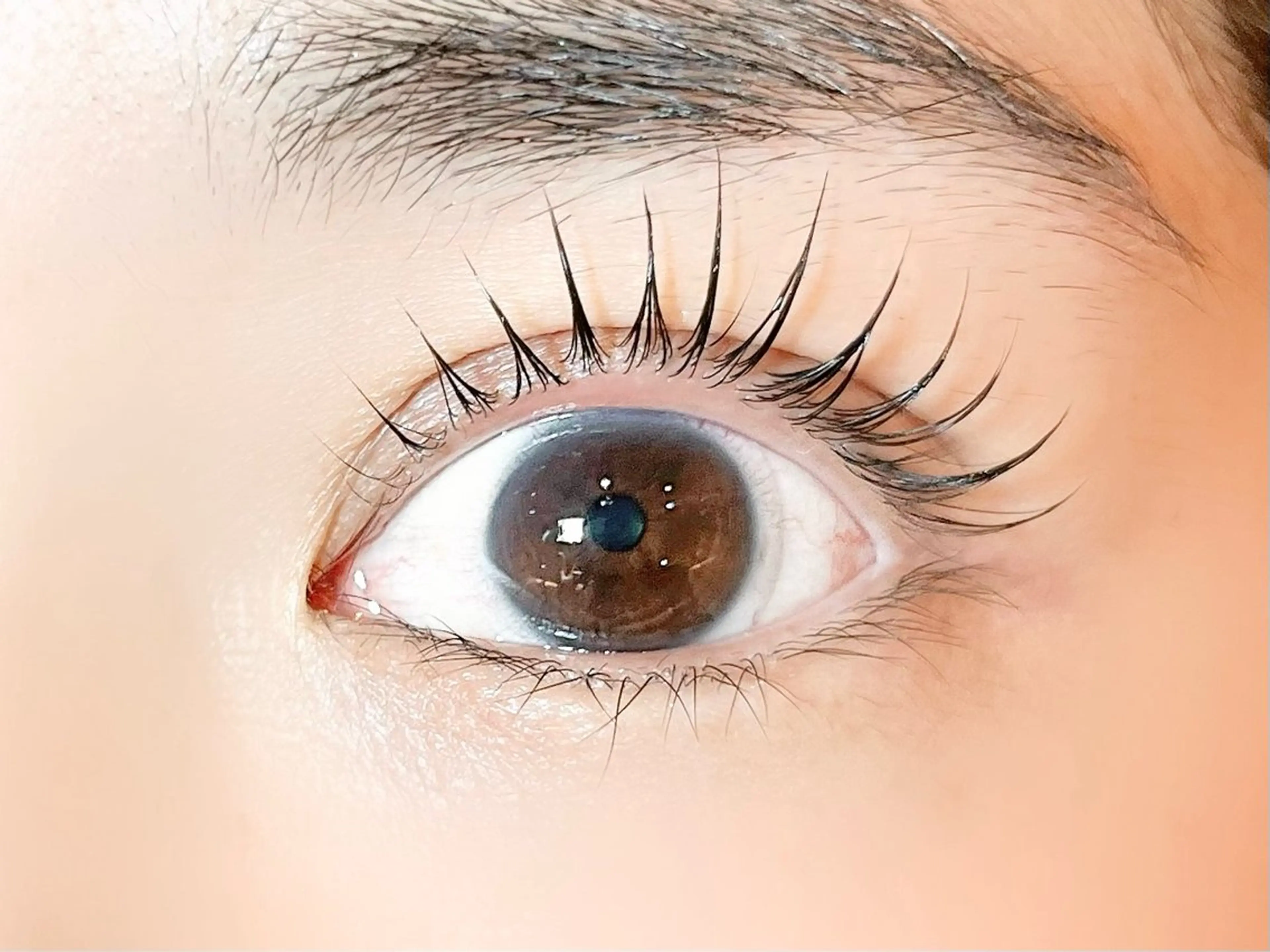 マツエク・マツパ sola: neolive熊田のマツエク・マツパデザイン