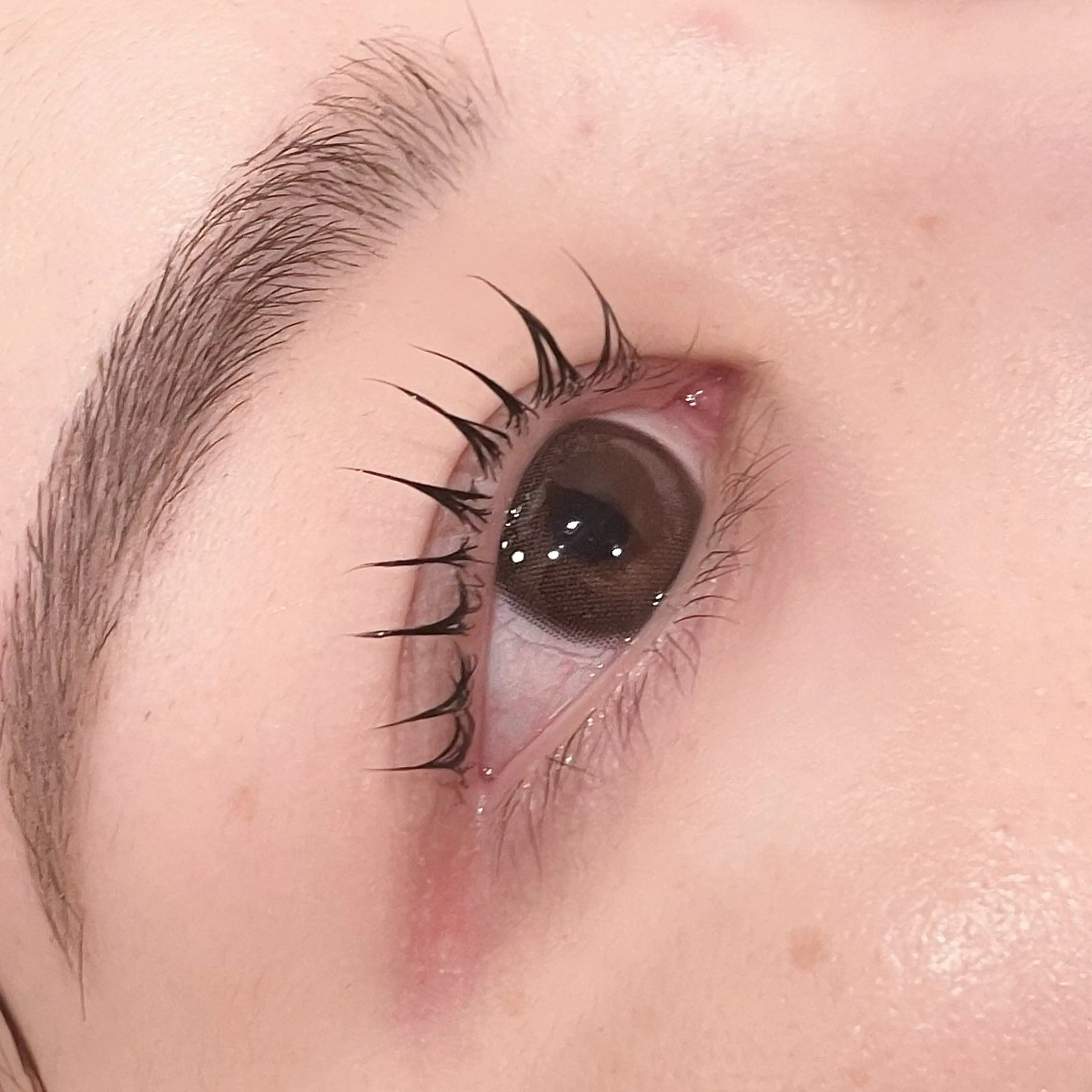 マツエク・マツパ マツパ pono大宮東口店 店長🩰AOHA🩰のマツエク・マツパデザイン