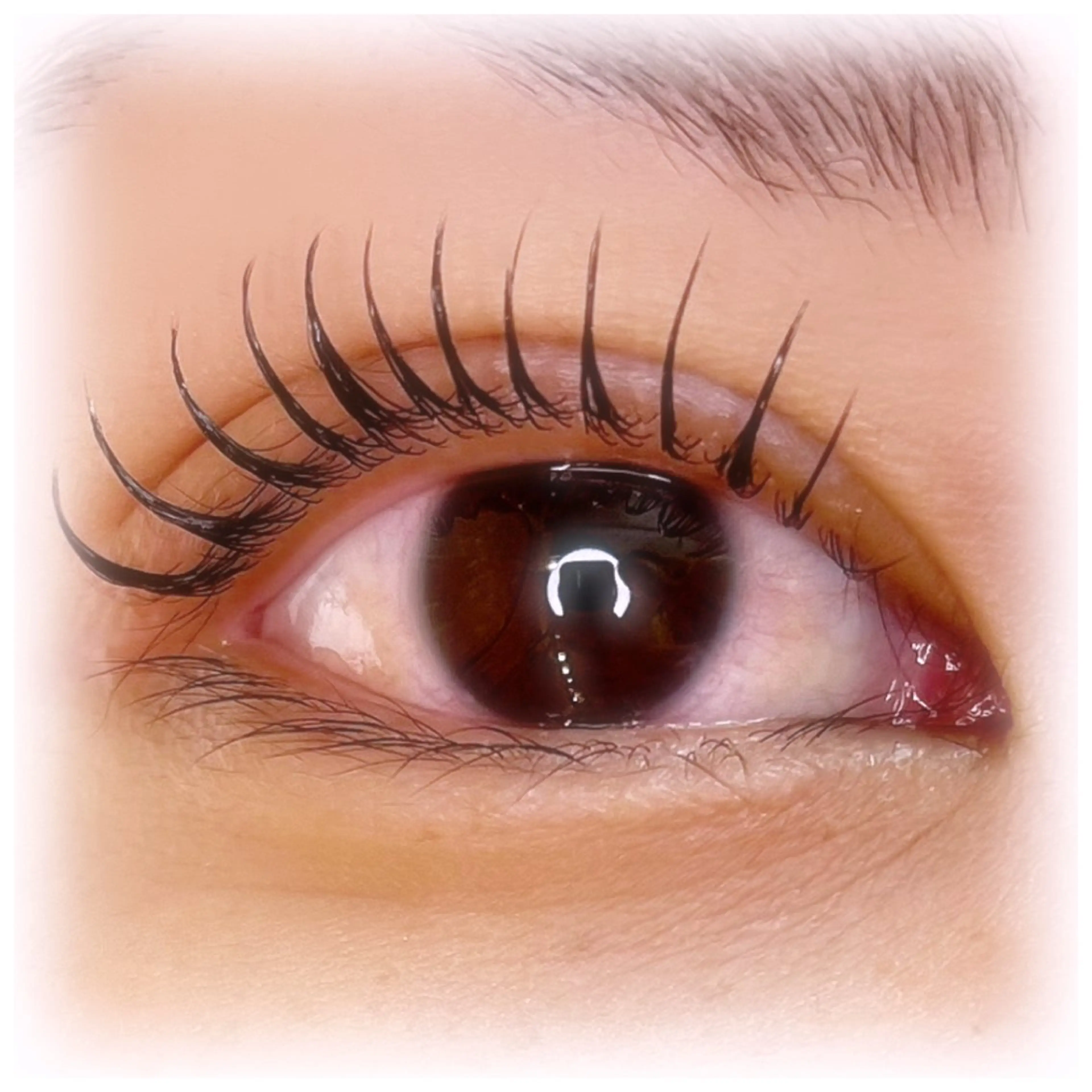 【大人気】【LED】&healthy ナチュラル束感★エクステ60束×まつげパーマ　エクステ120本相当🩶オフ込み🩶の写真