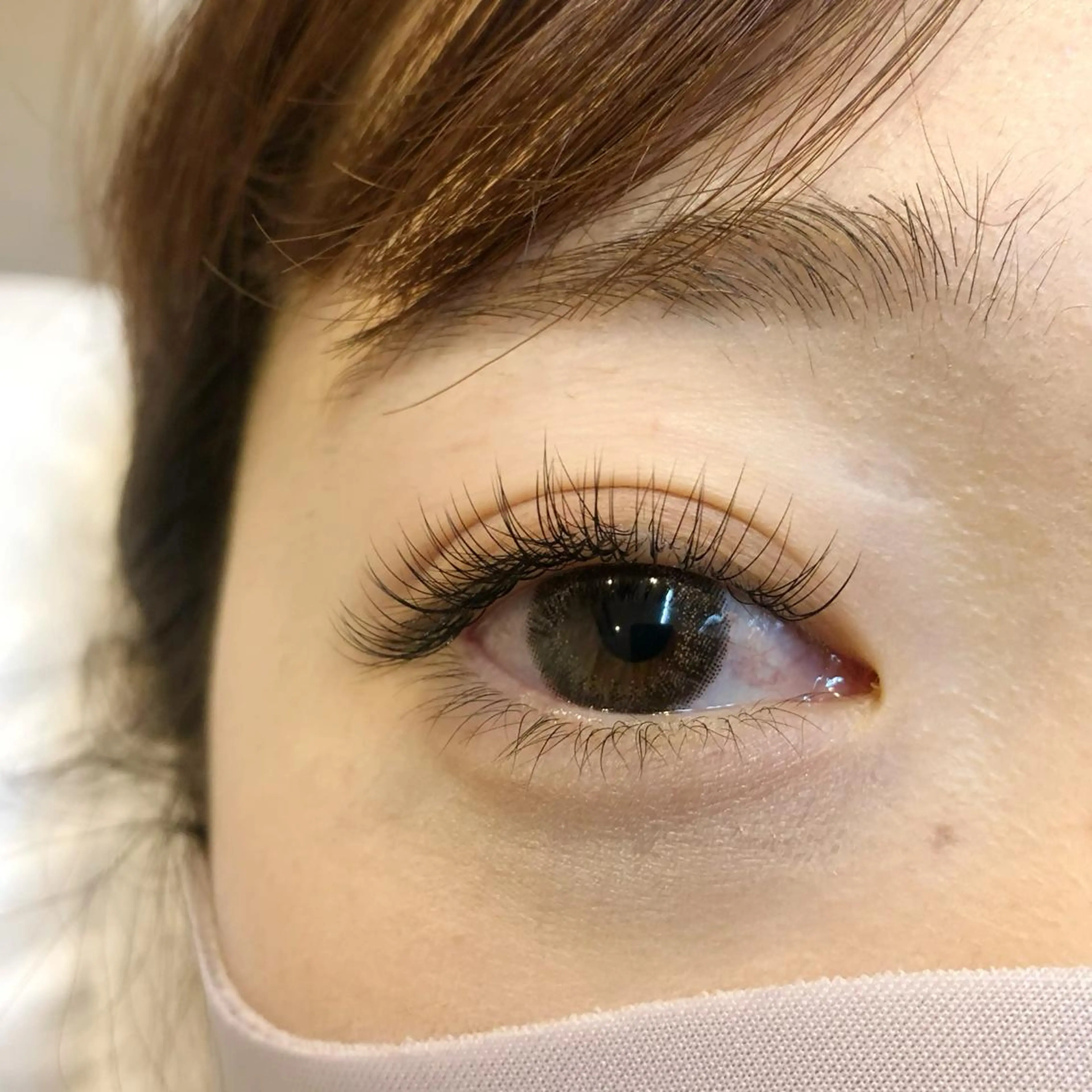 最高級エクステ付け放題90分🌟コーティング付き🌱の写真