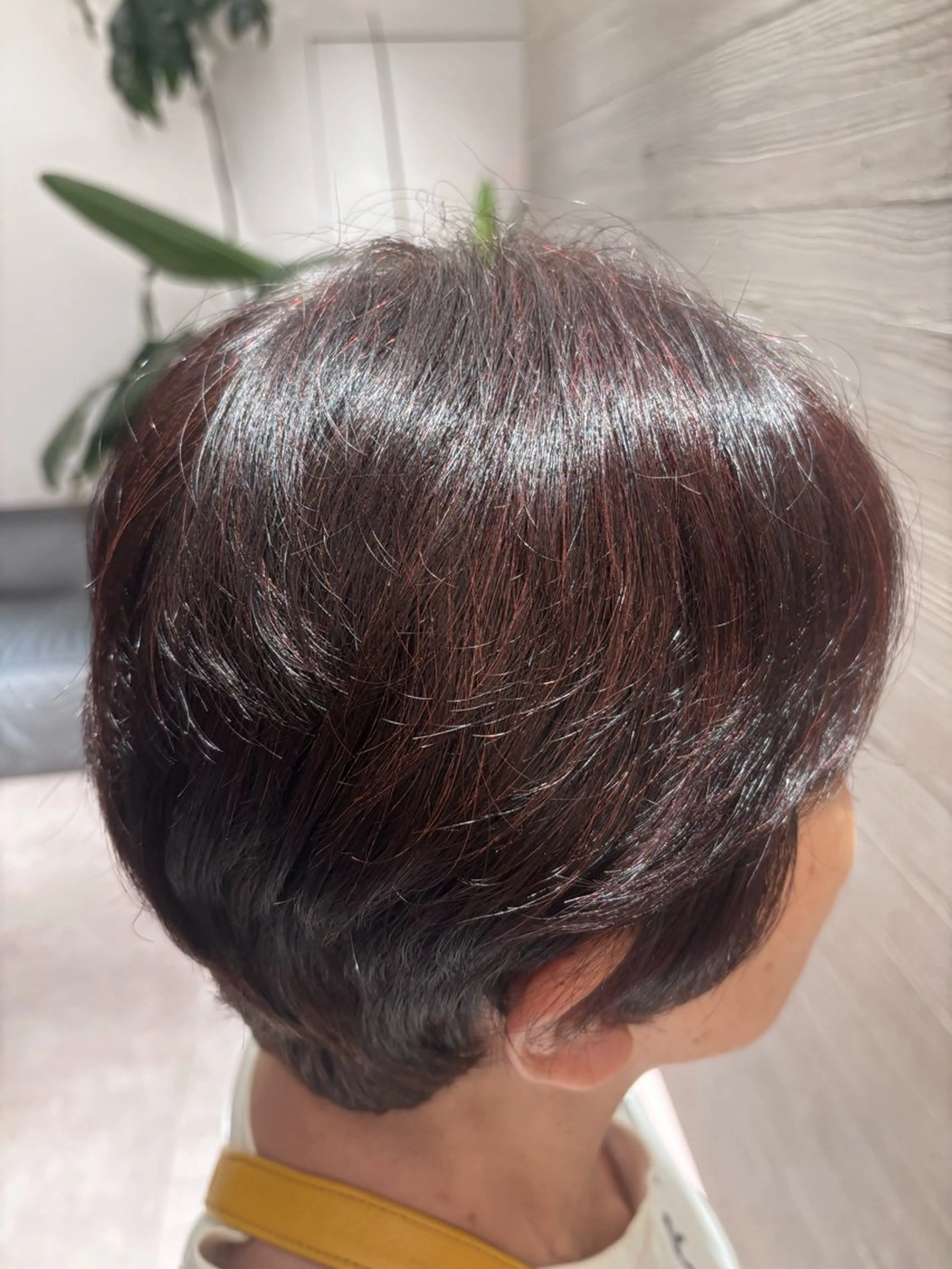 ショート カラー カマタ サユミ🪐のヘアスタイル