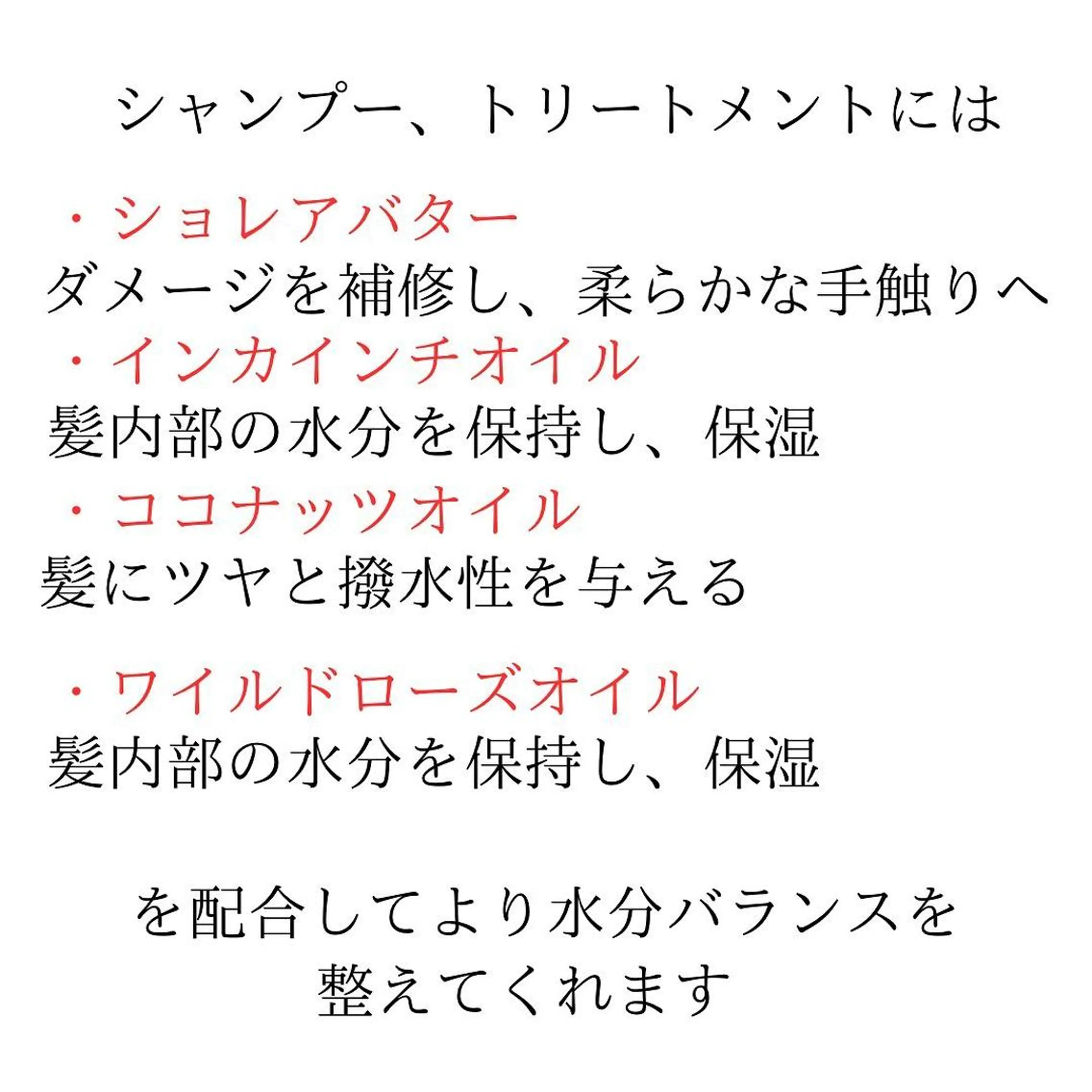 ショート 髪質改善× ハイライト溝江のヘアスタイル