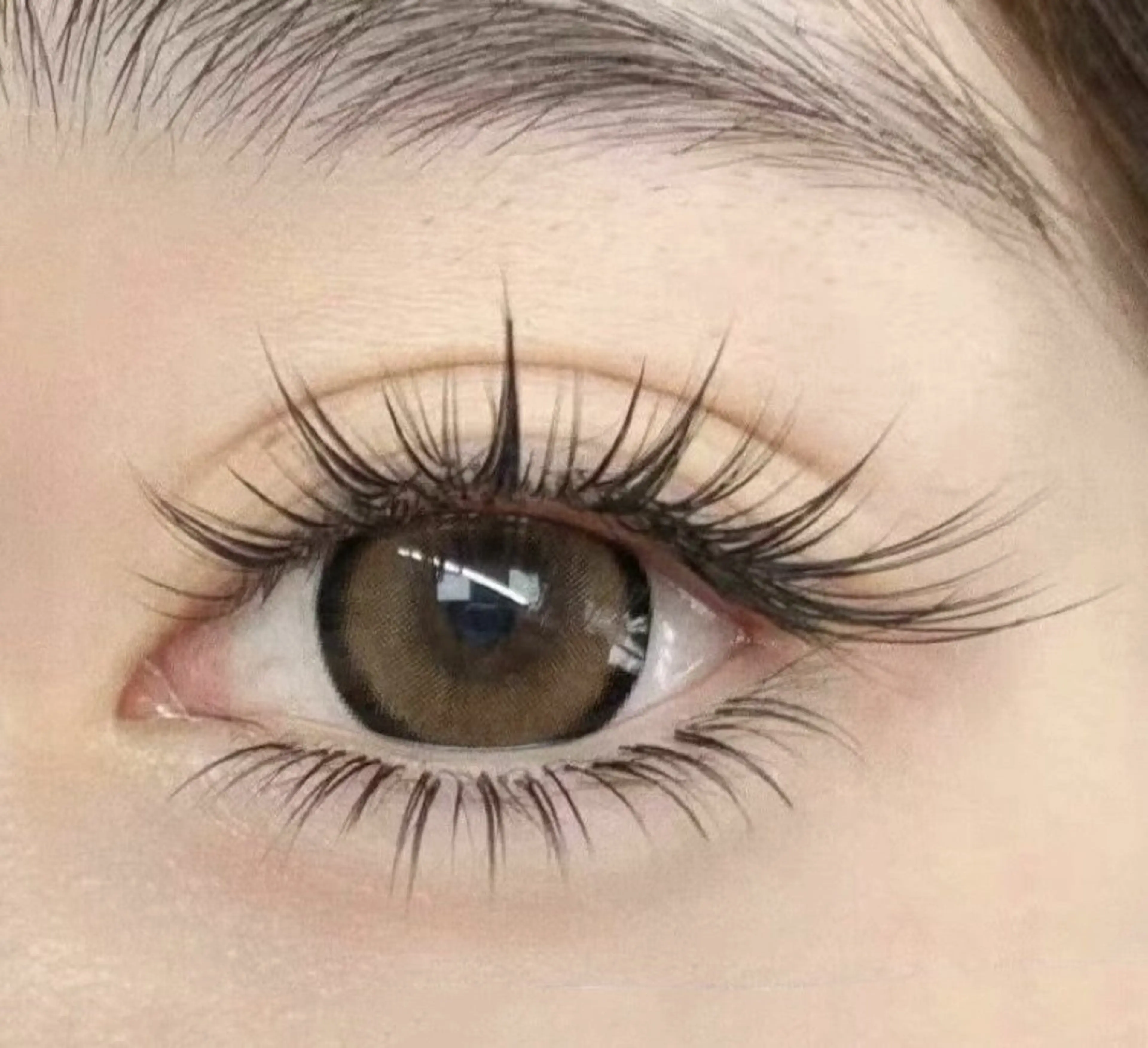 ★大人気^x^猫系or狐系ワンホンデザイン ナチュラル束感400本/80束上のみ【最新LEDエクステ追加+ 1200円】の写真