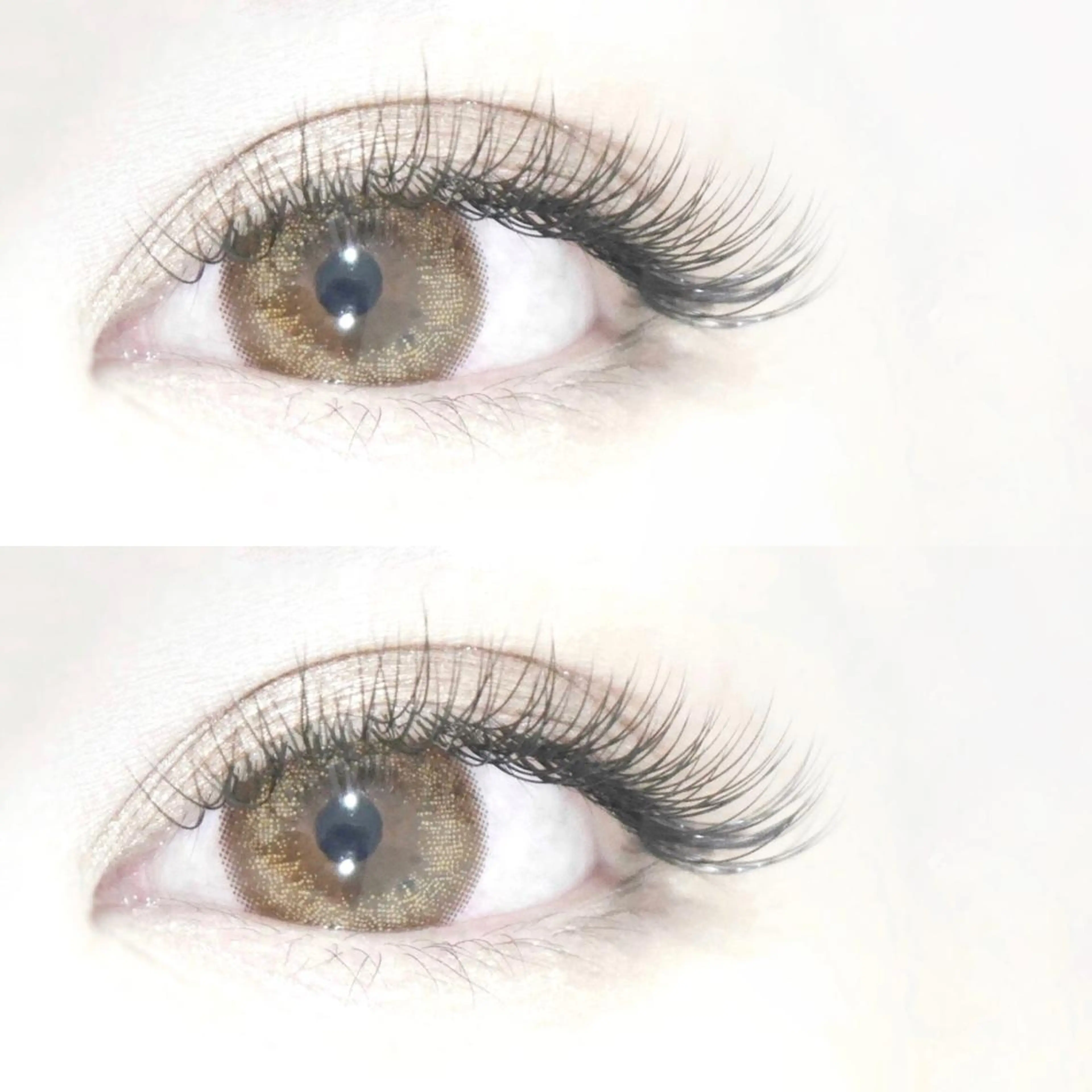 シングル付け足し40分付け放題の写真