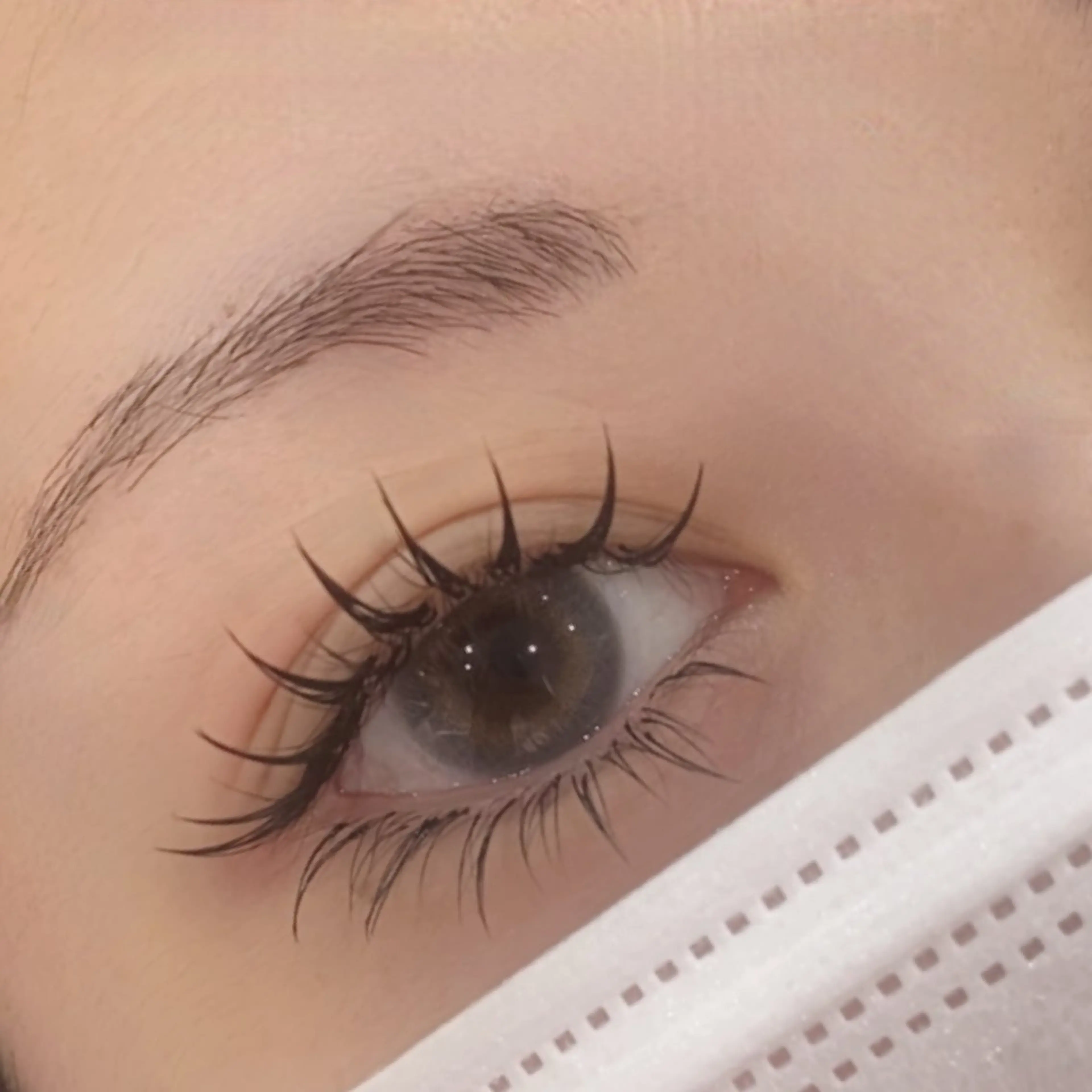 LEDエクステ＋パーマ♡最新技術♡エクパ🐰の写真