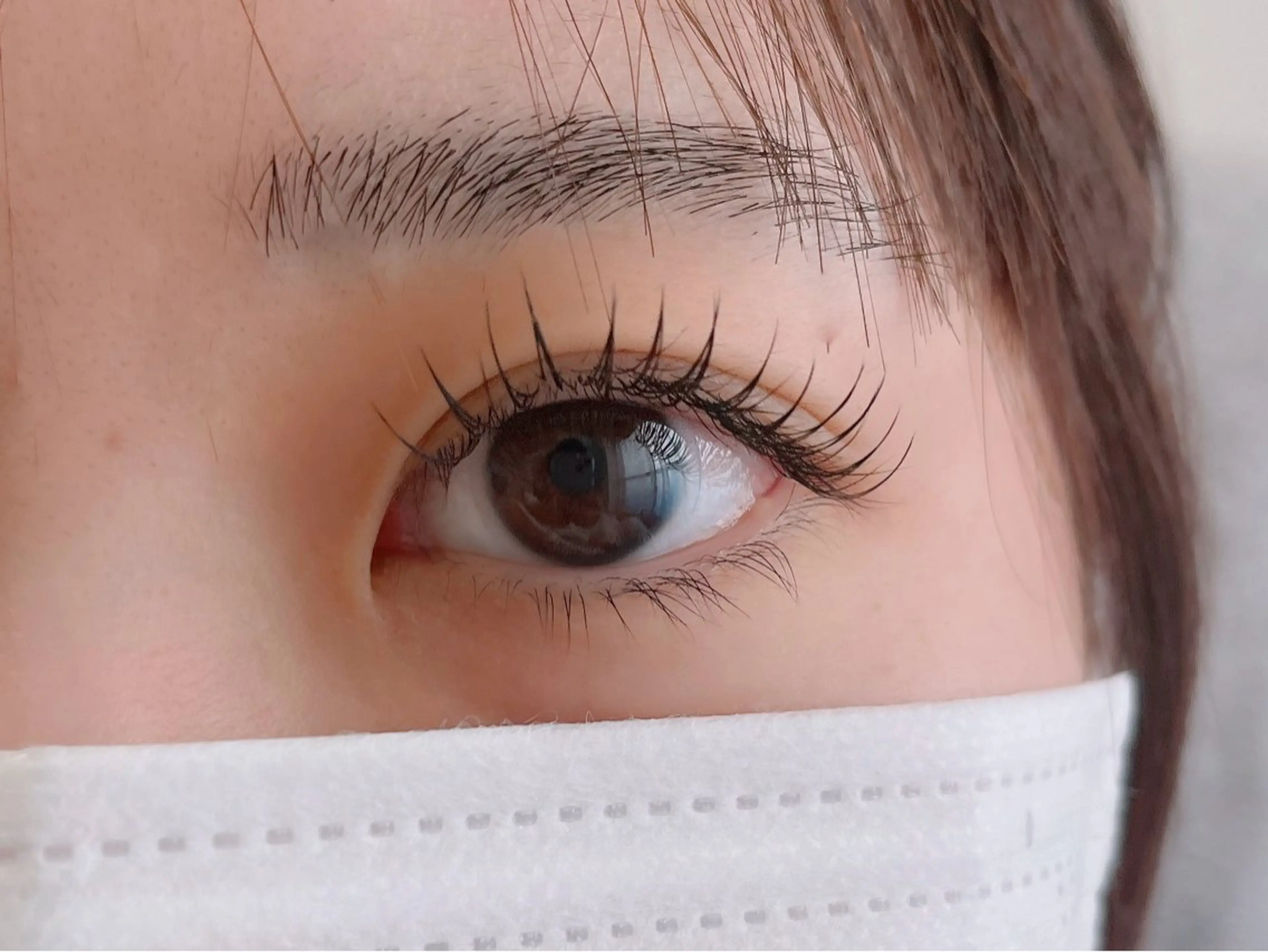 【minimo限定価格】フラットラッシュ100本の写真