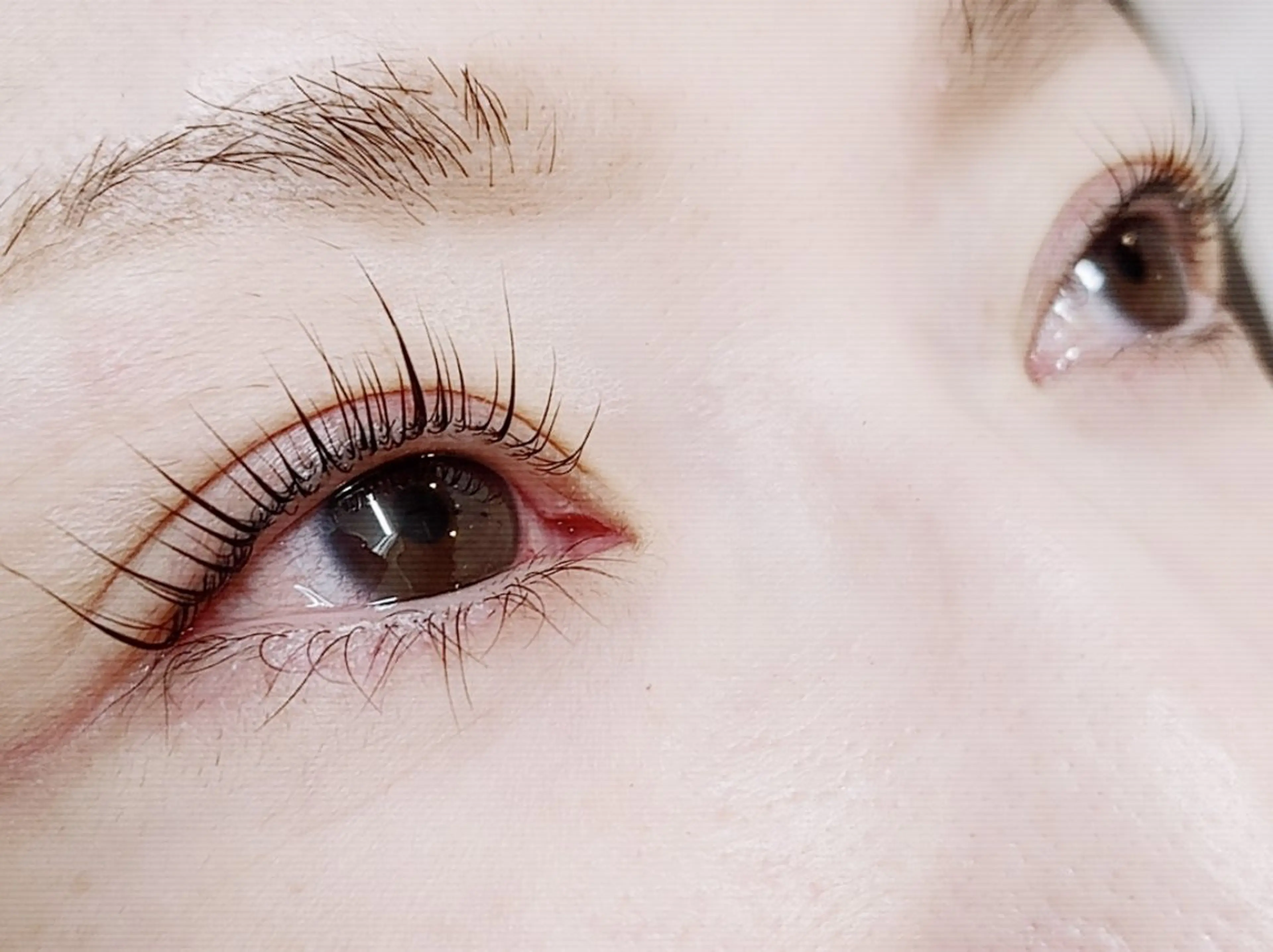 パリジェンヌラッシュリフトorデザインパーマ（日付時間指定あり）※所要時間60分※注意事項お読みくださいの写真