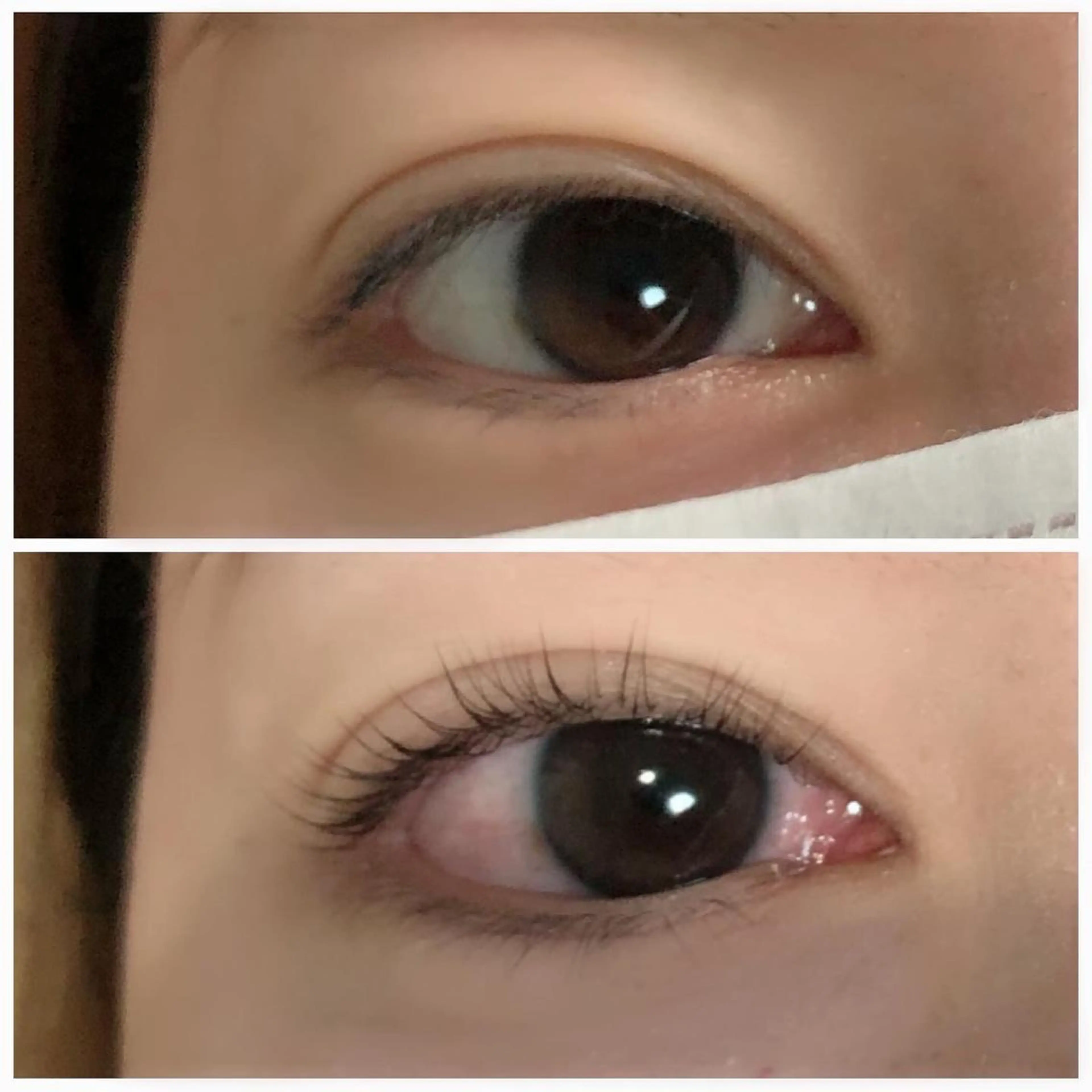 マツエク・マツパ マツパ K&E lashe /大垣　まつ毛、眉毛のマツエク・マツパデザイン