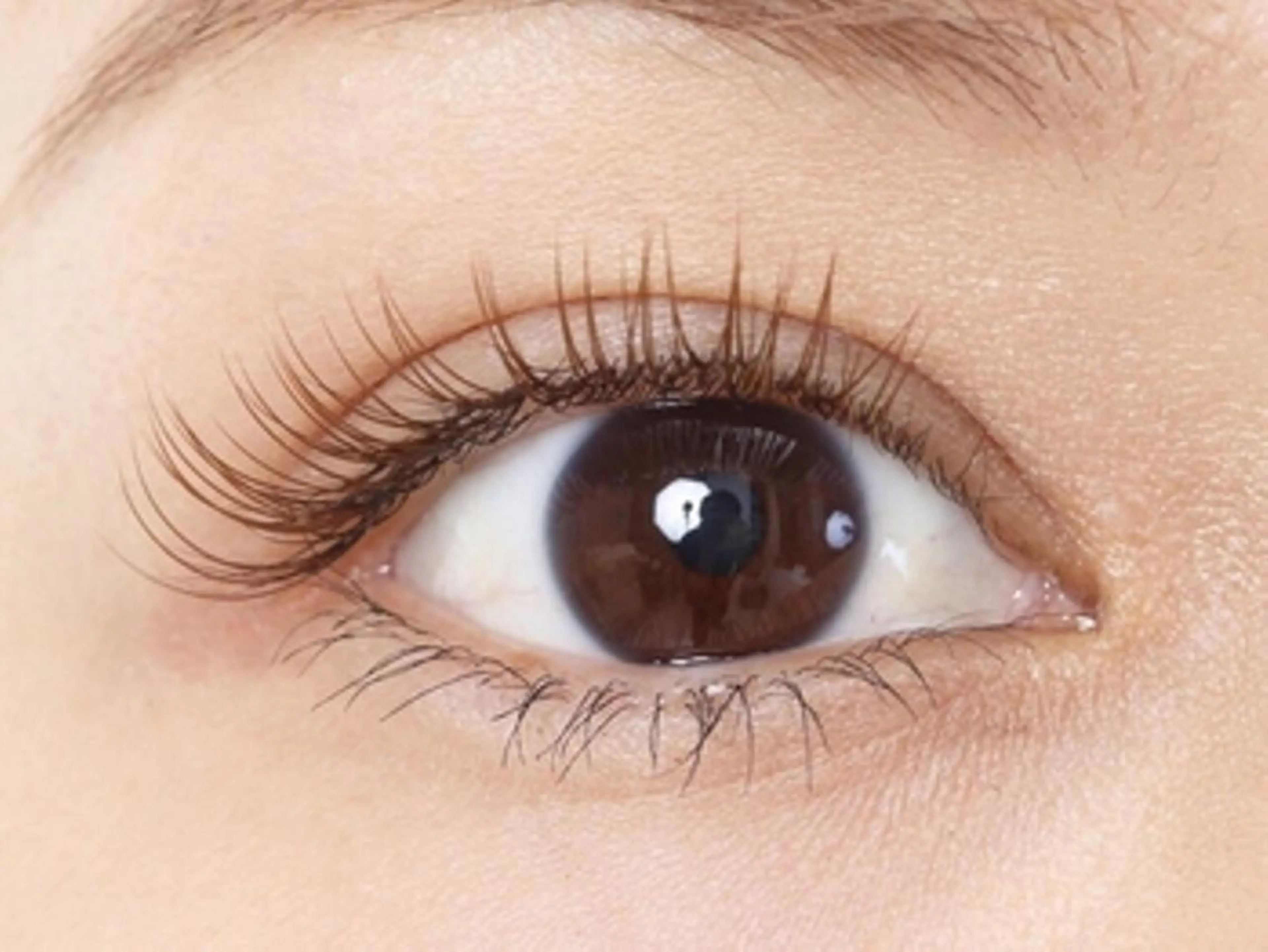 【フラットマットラッシュ】140本の写真