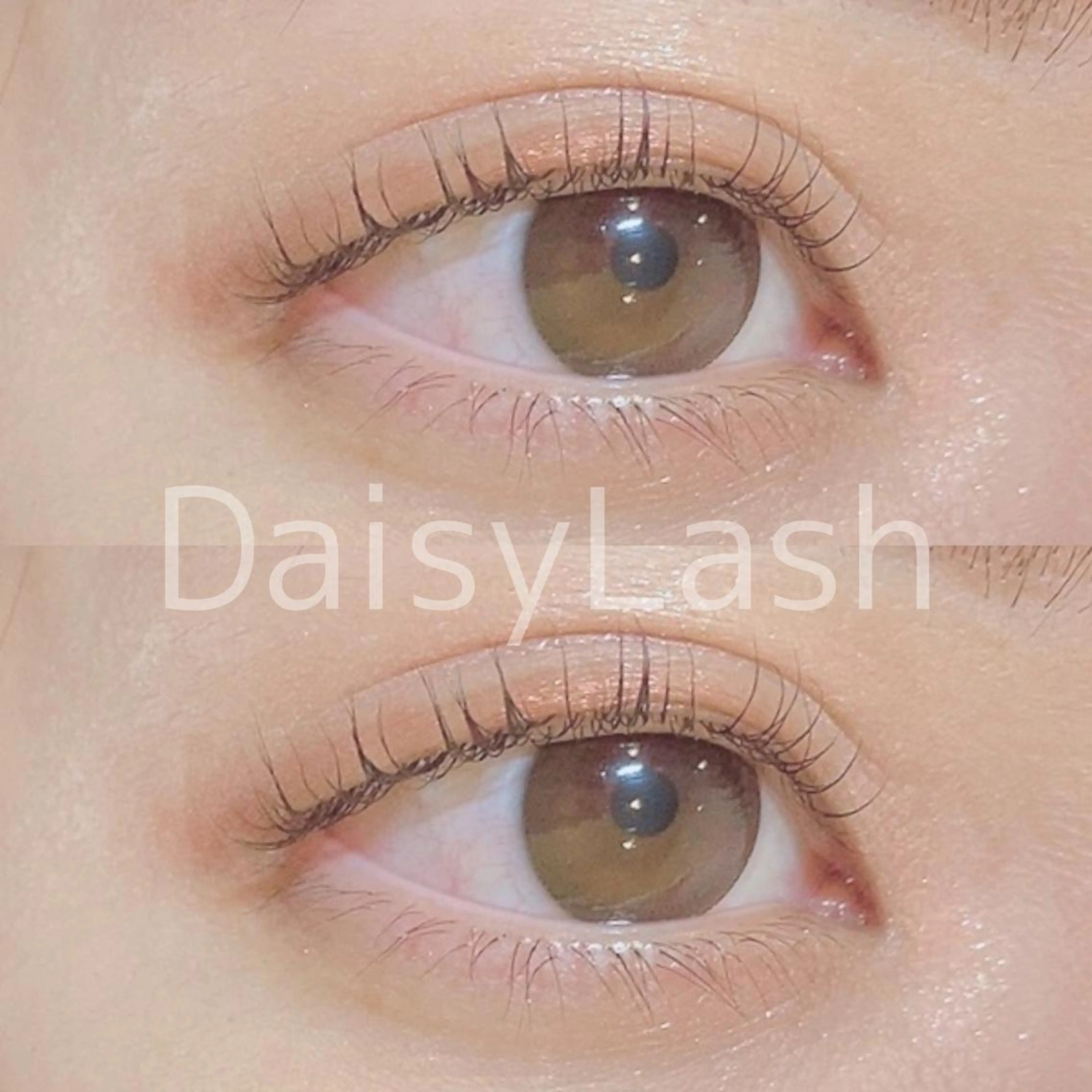 マツエク・マツパ DaisyLash 京橋店のマツエク・マツパデザイン