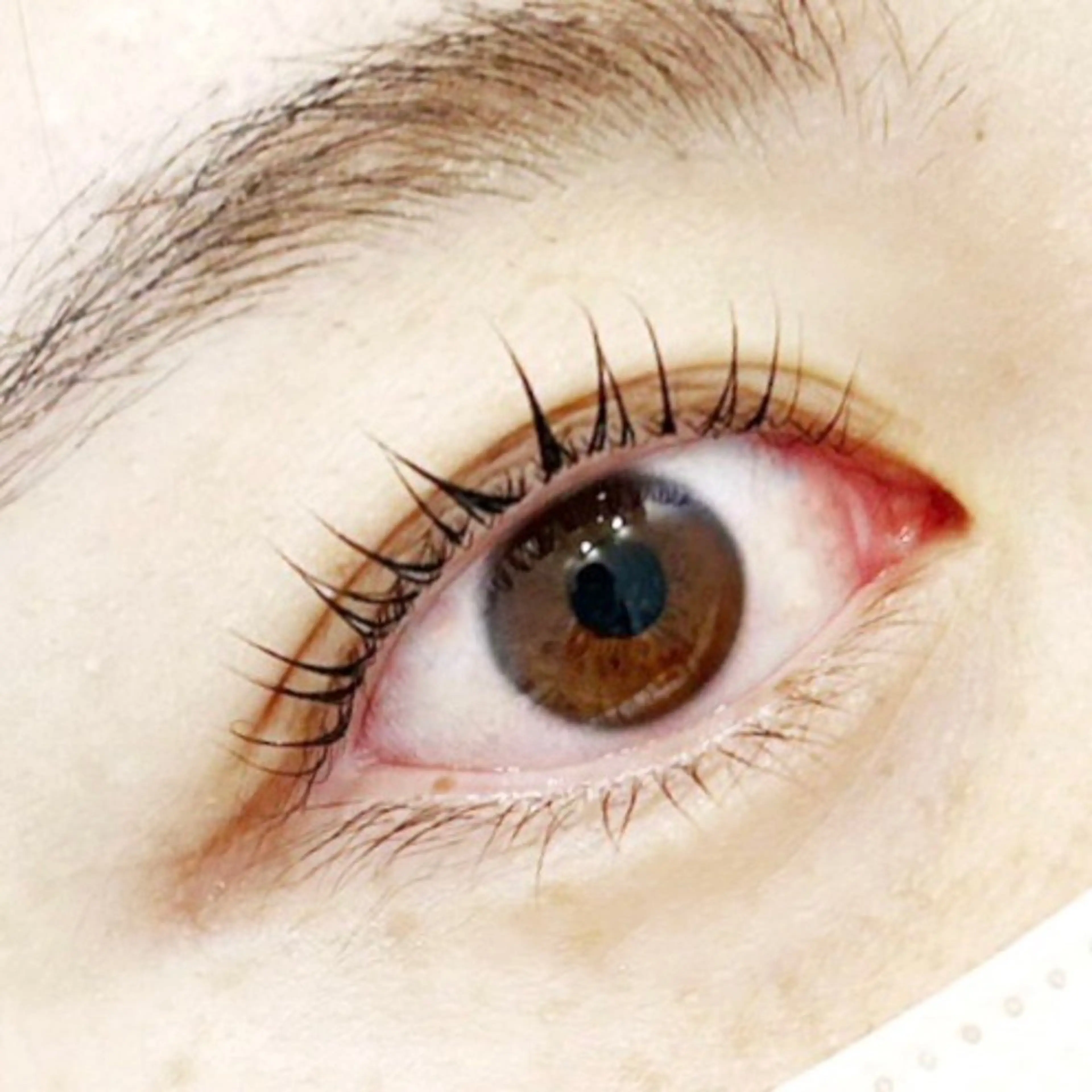 マツエク・マツパ YOSHIDA 🐰桜木町店のマツエク・マツパデザイン