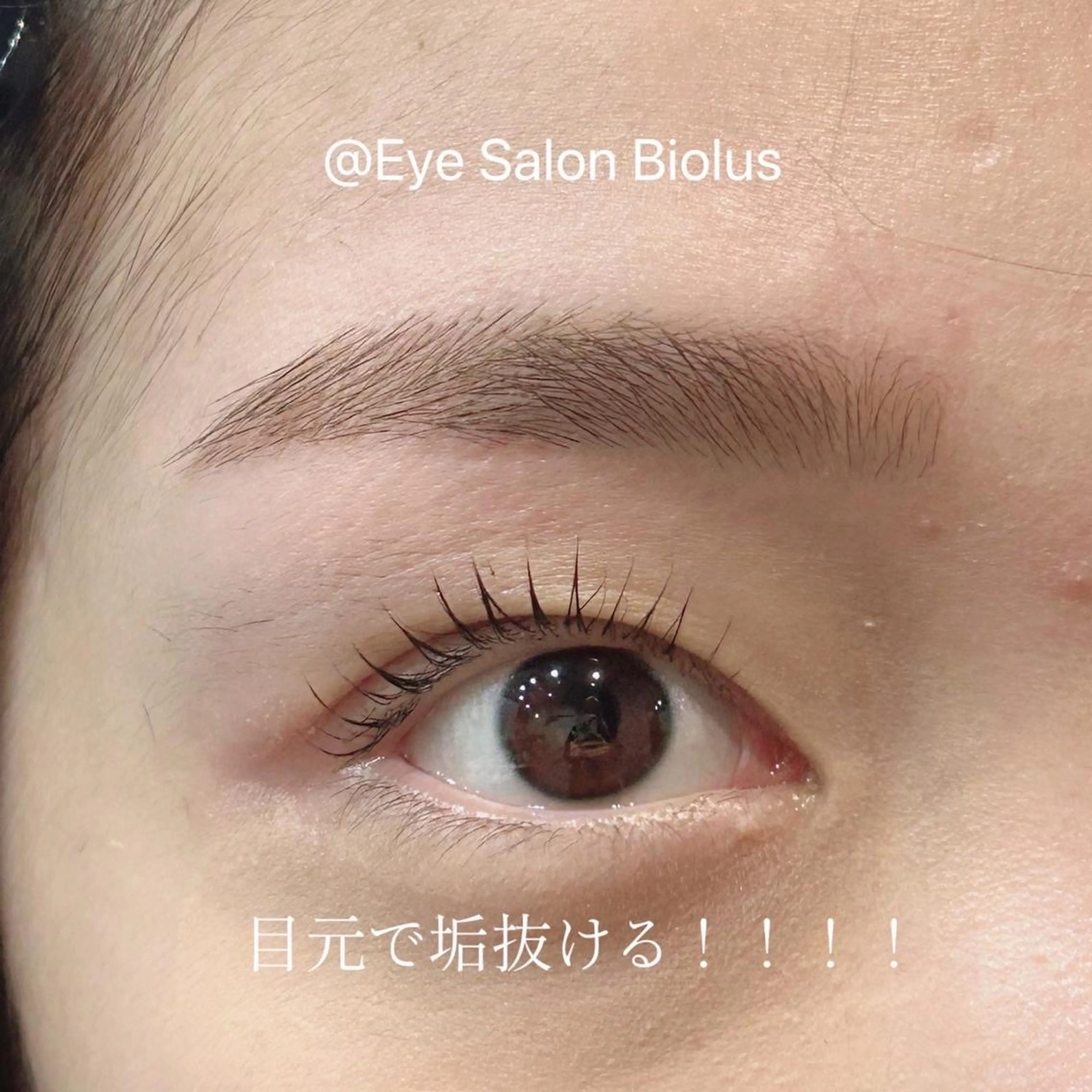 🌺【期間限定】✨大人気！setメニュー！  美眉スタイリグ(眉毛) × まつげパーマ　で魅力的な目元印象に♪の写真