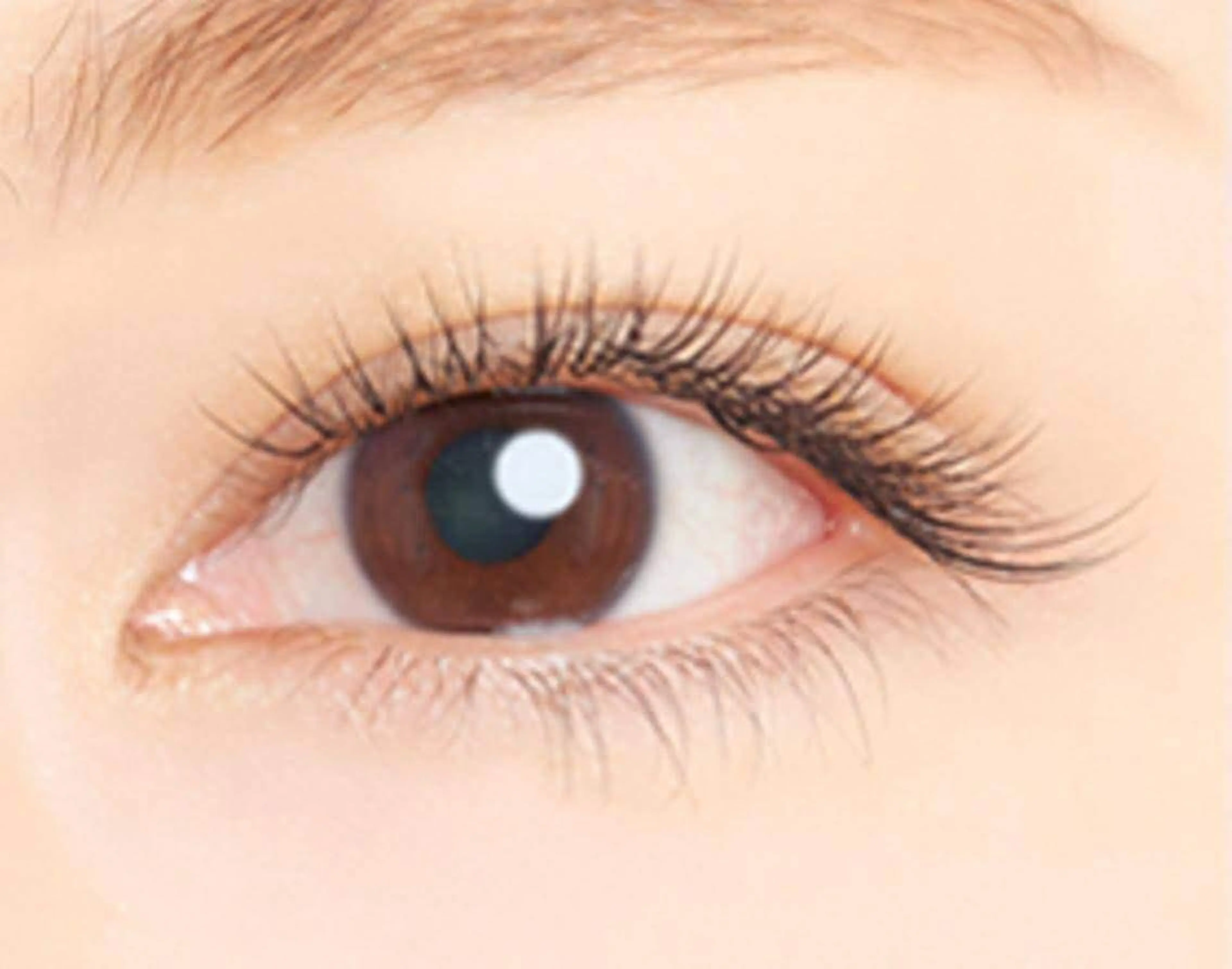 ✨最高級セーブル使用✨マツエク100本オフ込¥3630の写真