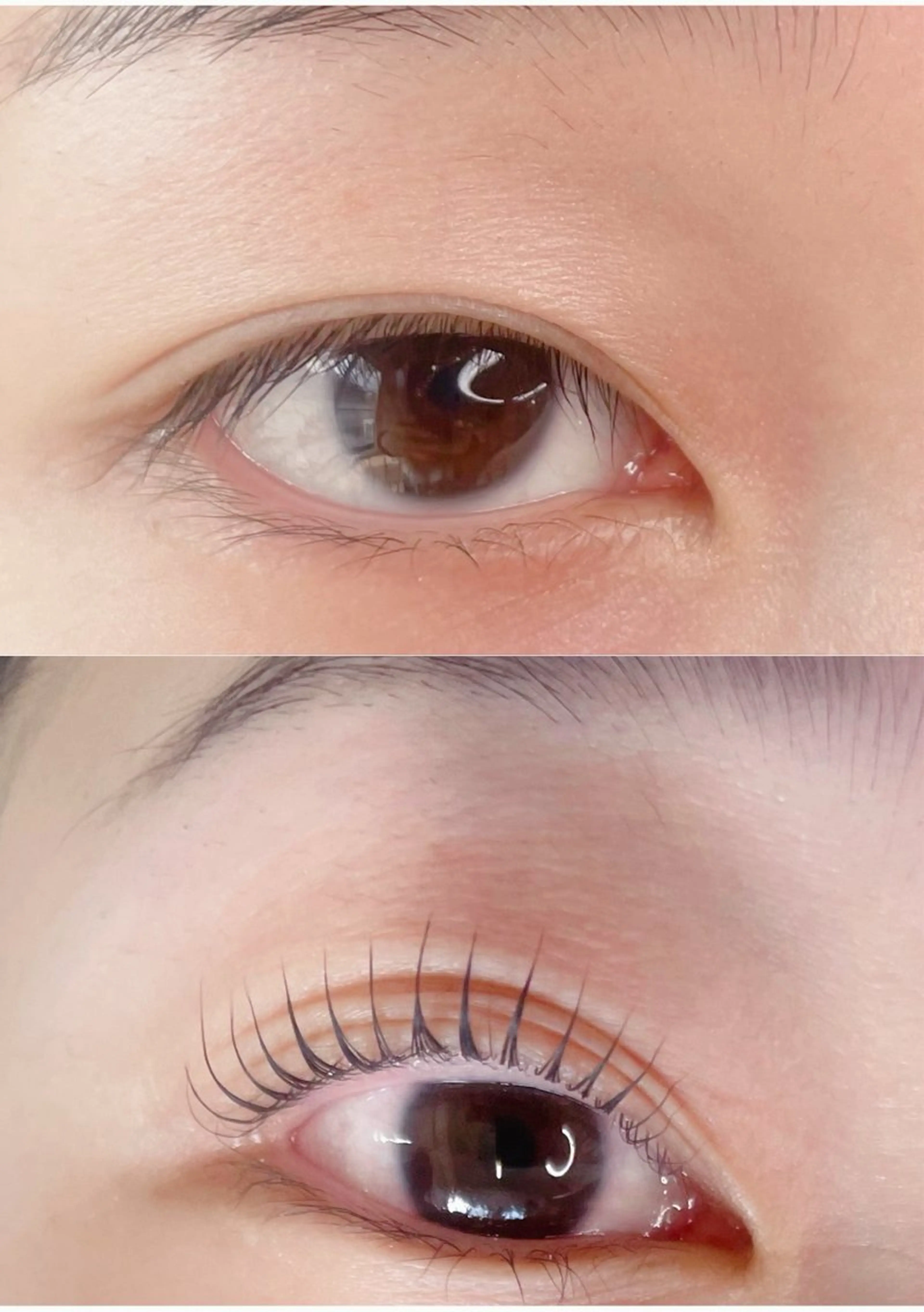 マツエク・マツパ 束感まつ毛 韓国風マツエク eye ＆ nail chicca【キッカ】by　pupa所属・chicca miyoのマツエク・マツパデザイン