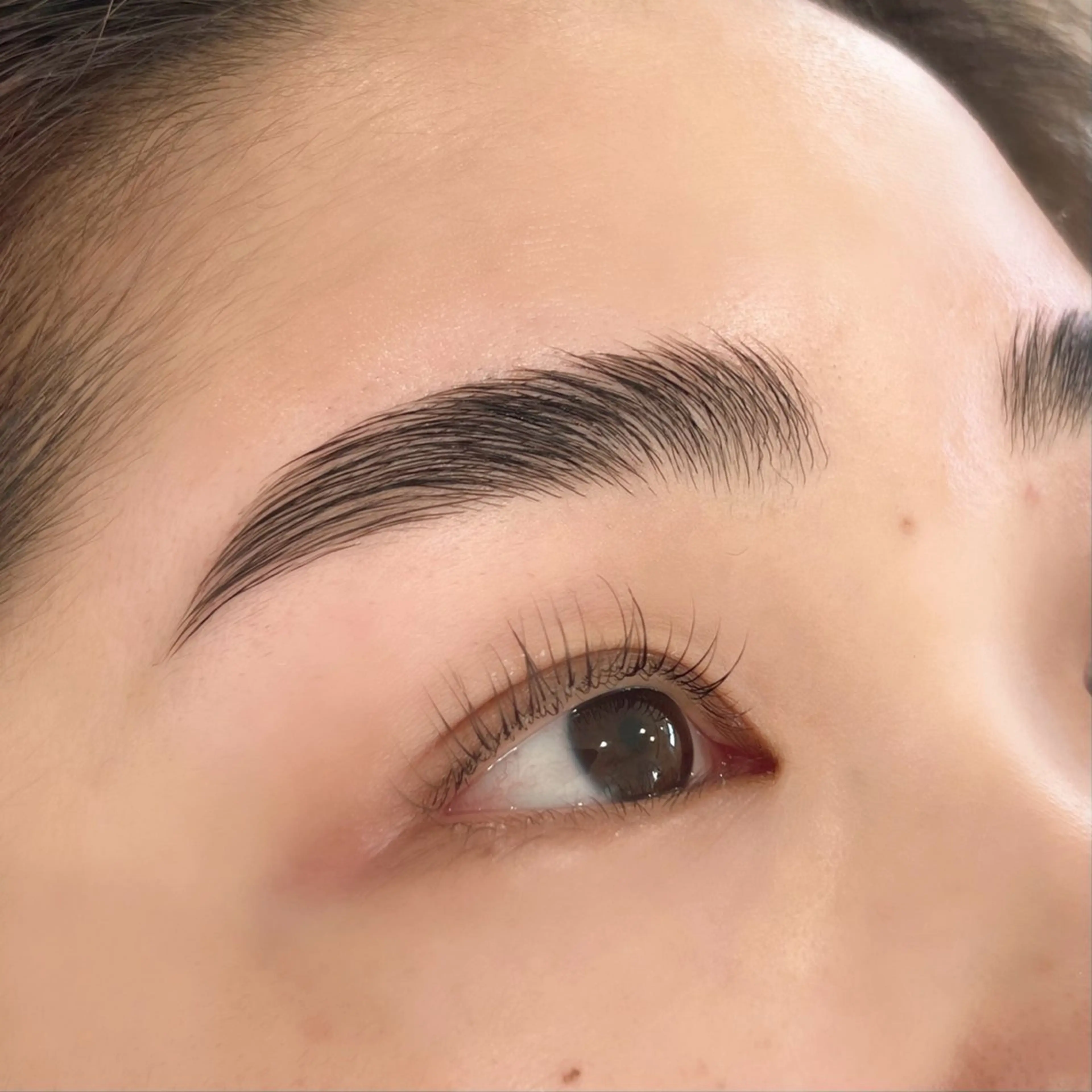 《セット》パリジェンヌ+ハリウッドブロウリフトの写真