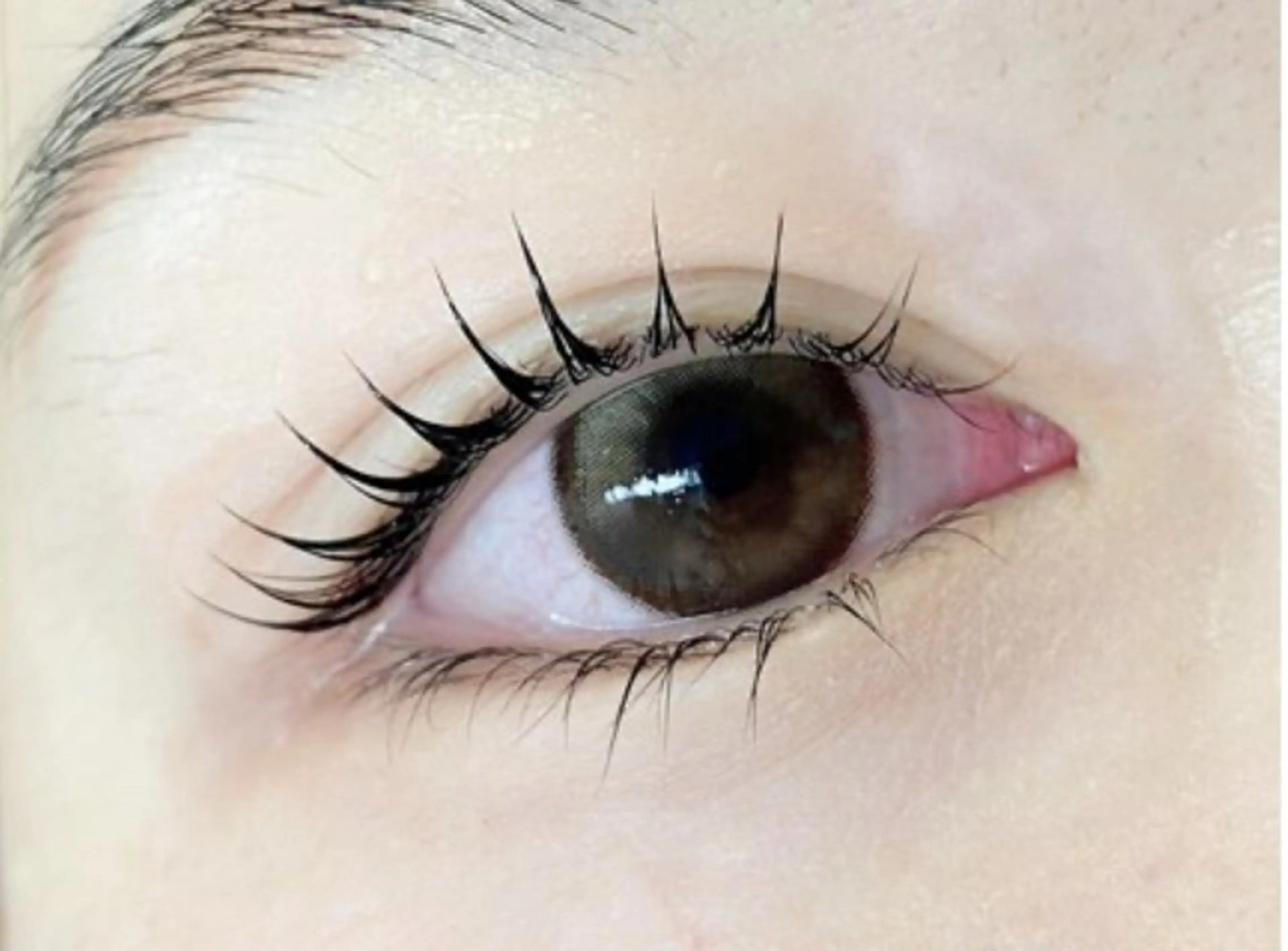 マツエク・マツパ プラスアイ新宿西口駅前店所属・プラスアイ新宿西口 駅前店🍯HIROのマツエク・マツパデザイン