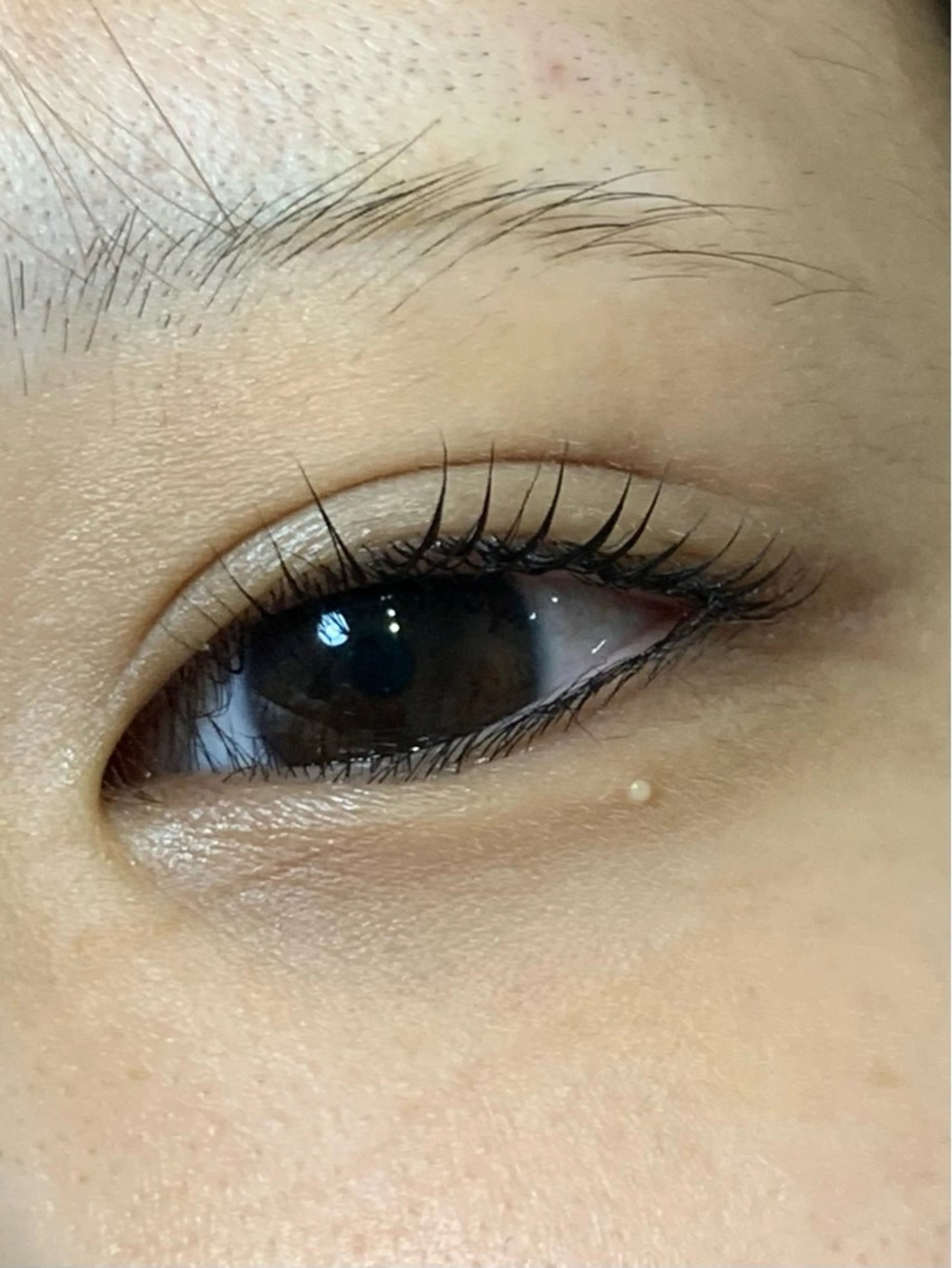 マツエク・マツパ 一重×まつ毛パーマ マツパ lifra CHISAのマツエク・マツパデザイン