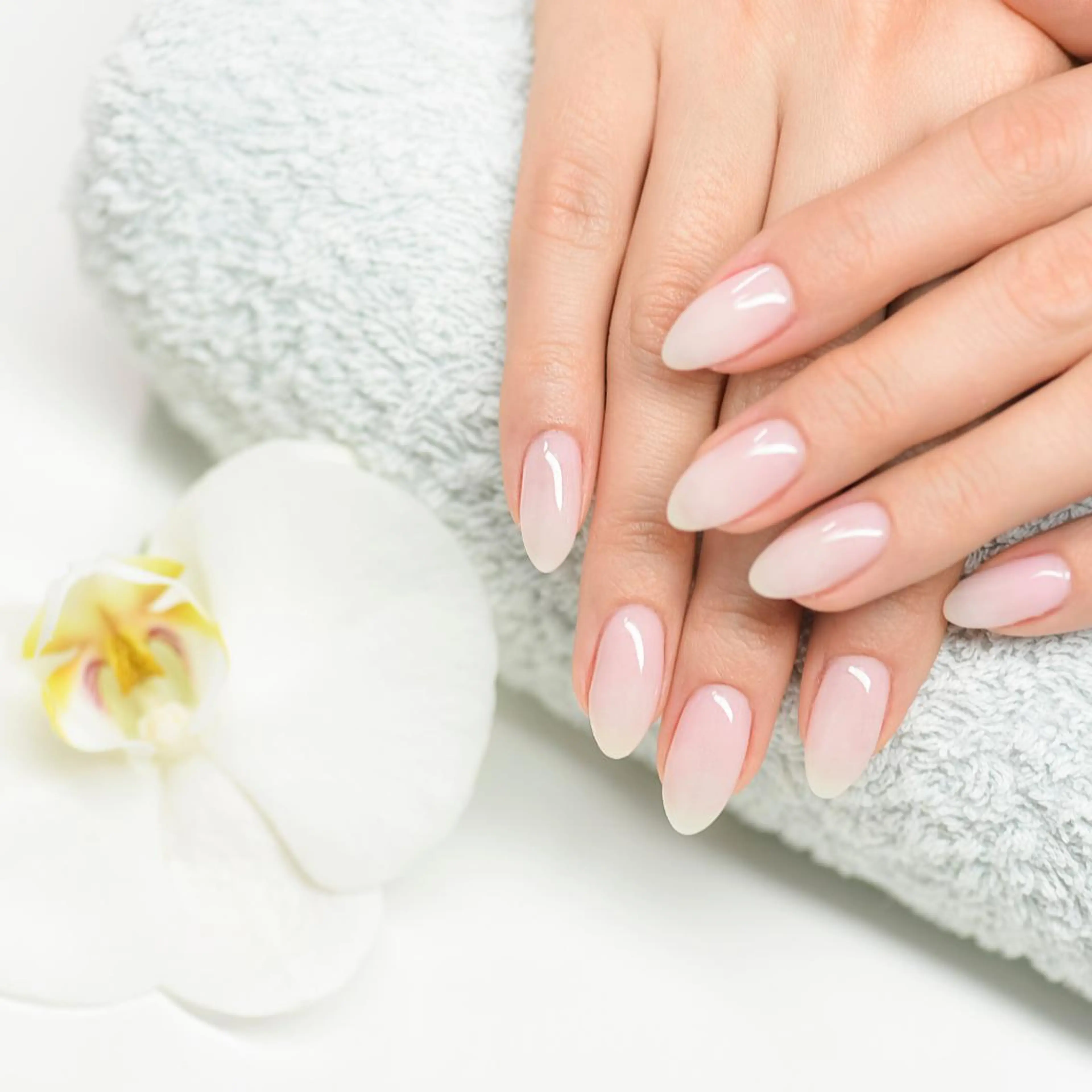 オフ込み❣️handワンカラーorラメグラ《パラジェル/低刺激ジェル》の写真