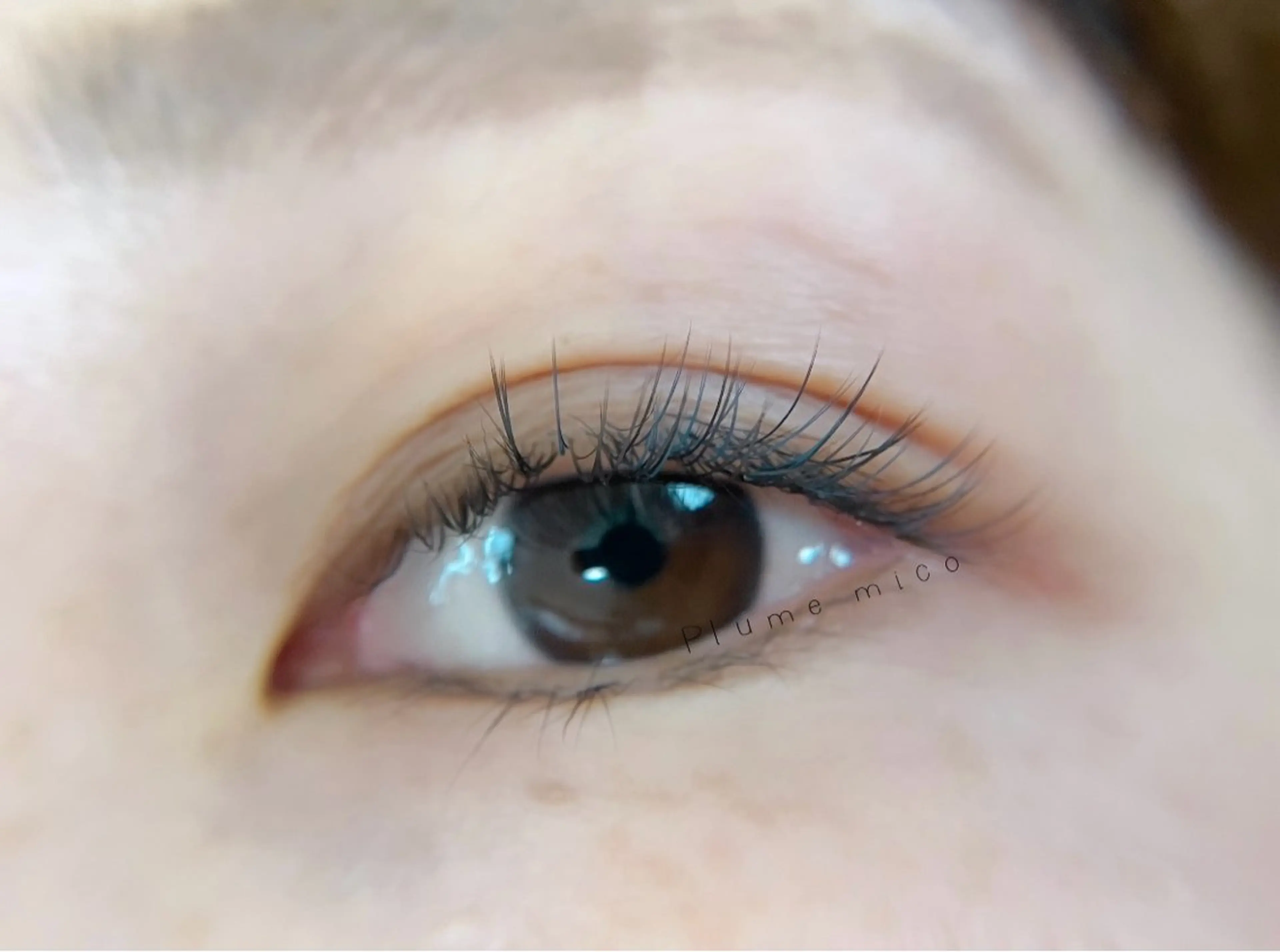 夏限定カラーエクステフラットラッシュ120本の写真