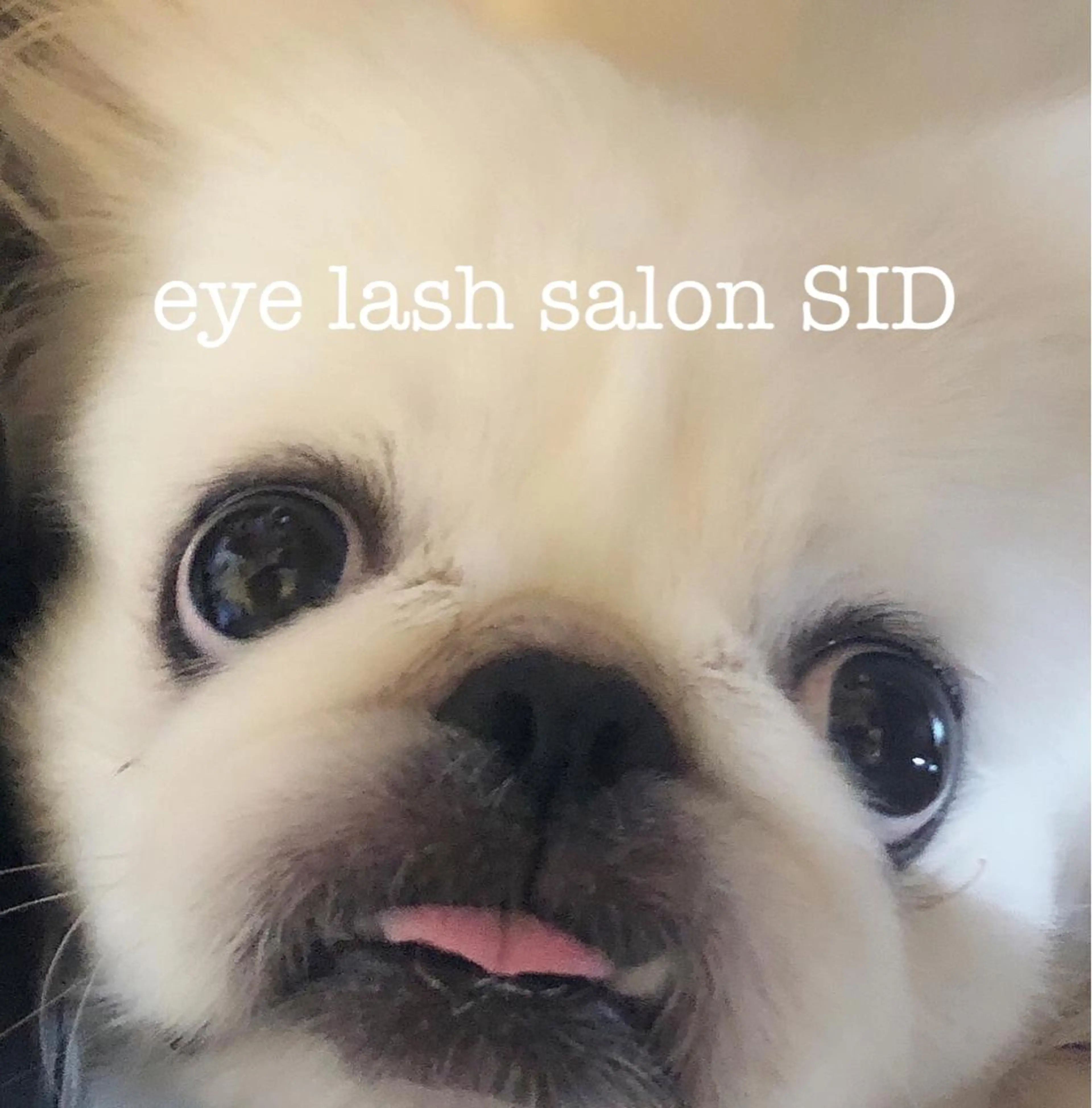 マツエク・マツパ eye lash salon SIDのマツエク・マツパデザイン