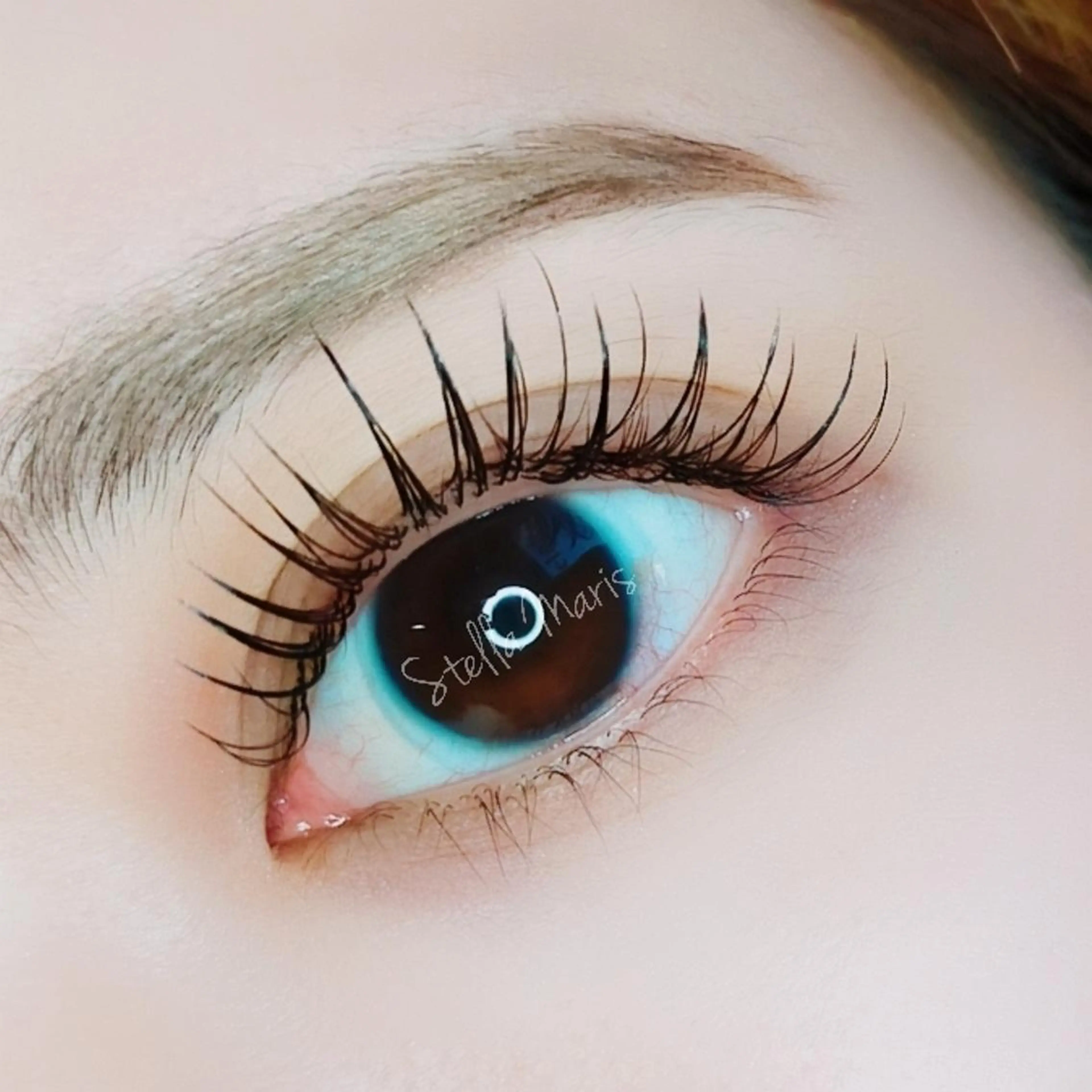 人気！フラットラッシュ120本✨（コーティング付）の写真