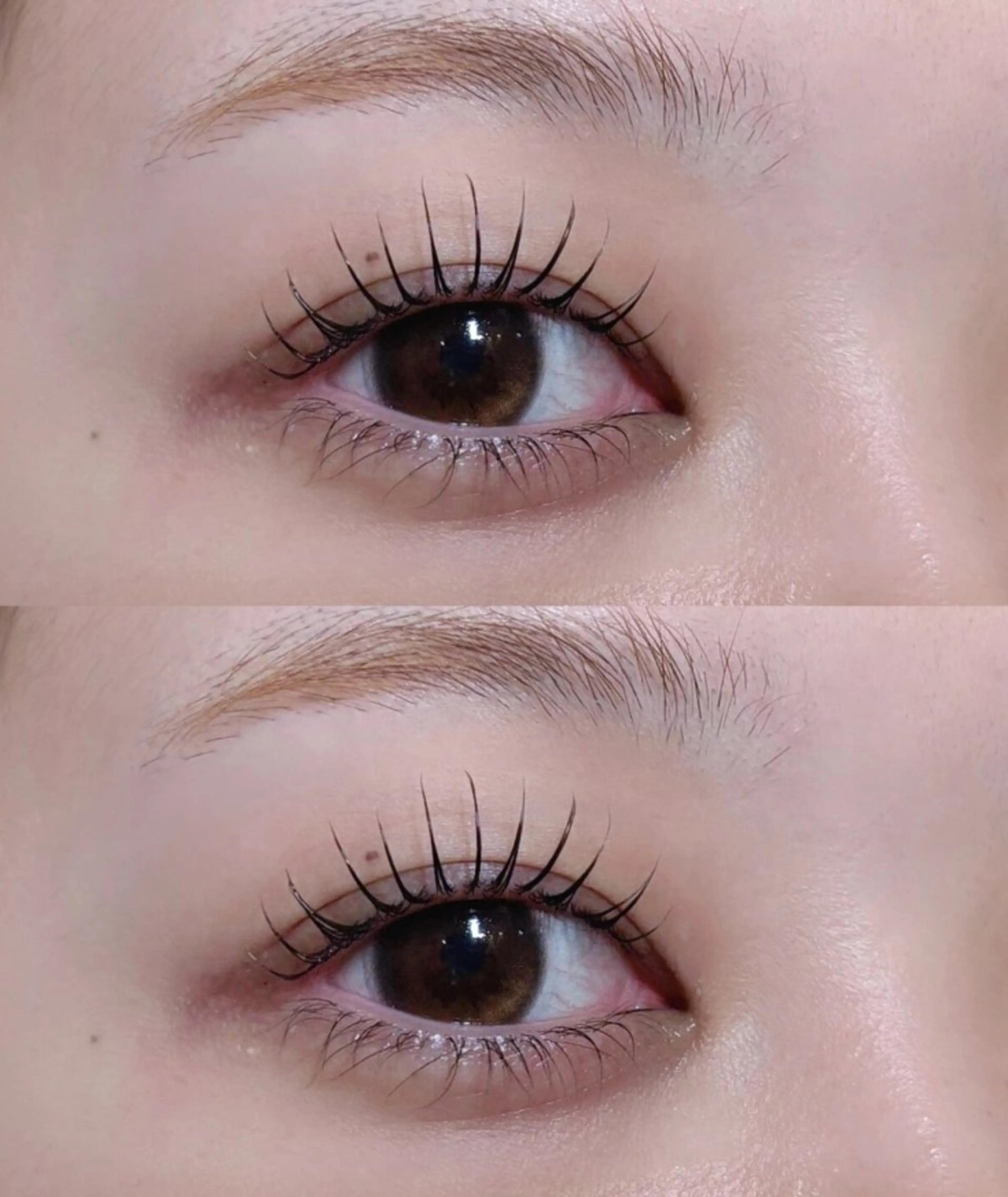 パーマ マツパ - THROW-のマツエク・マツパデザイン