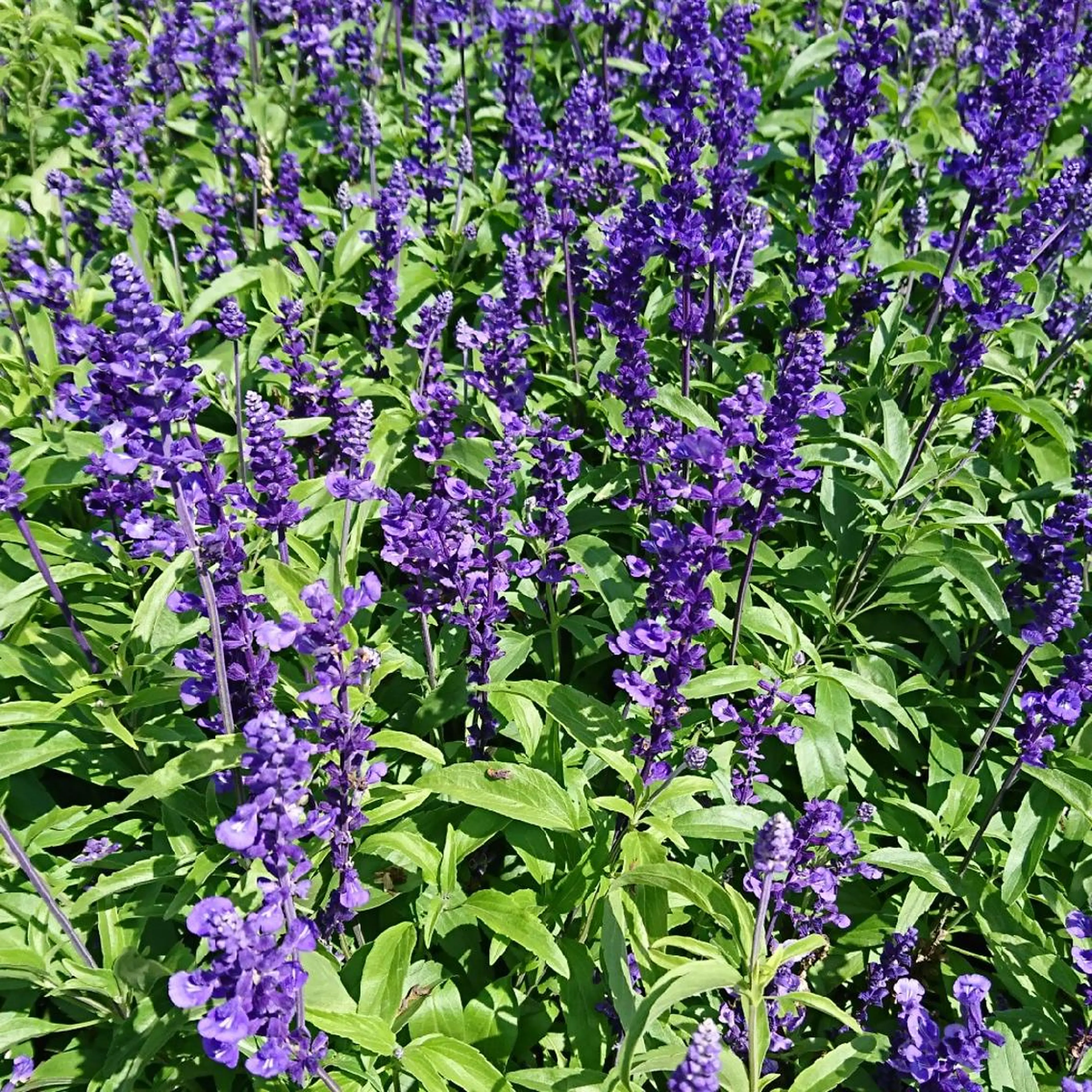 g*rossa高橋 くみこのエステ・リラクイメージ