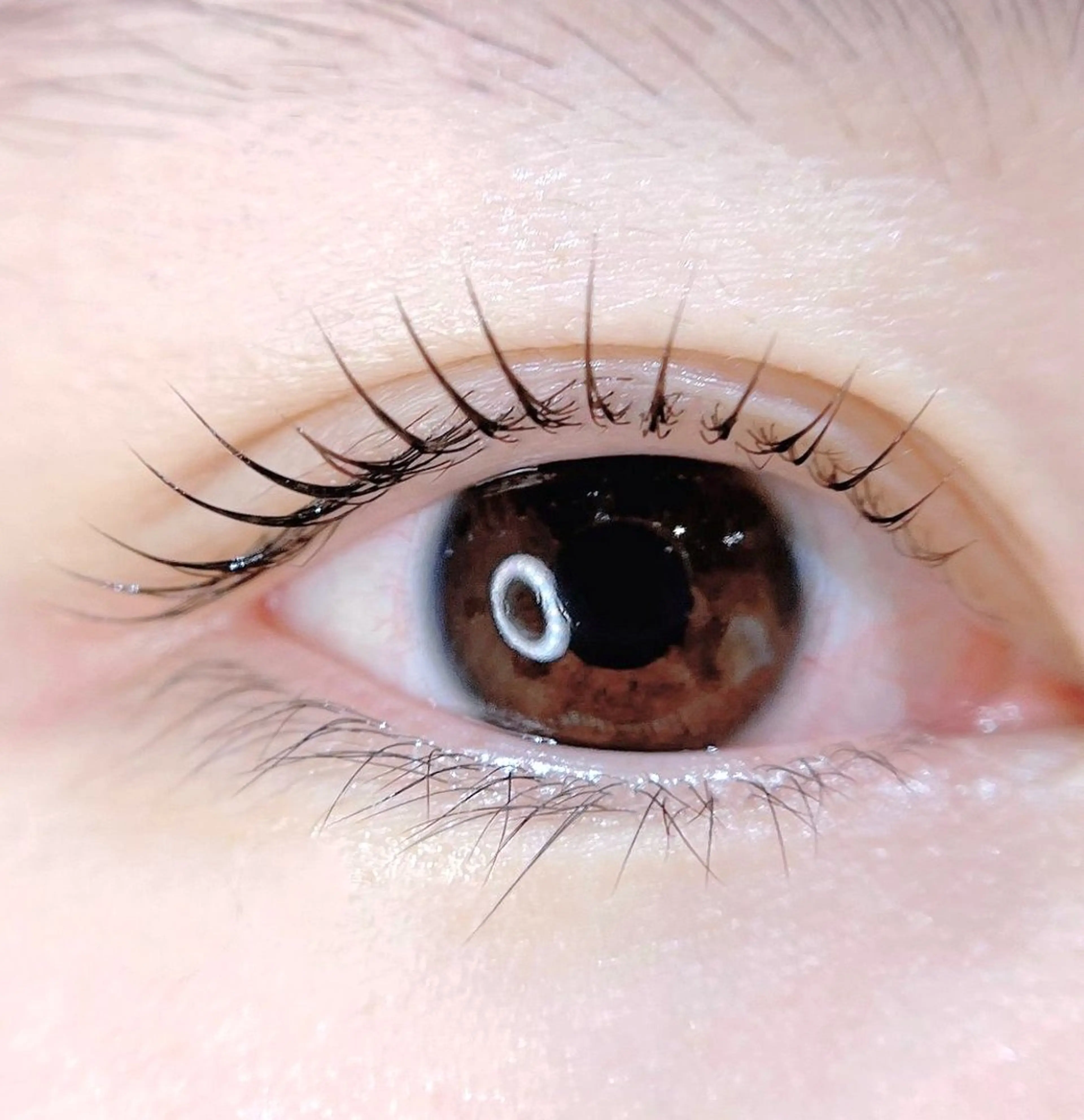 マツエク・マツパ cococherin所属・araki 🧸💭のマツエク・マツパデザイン