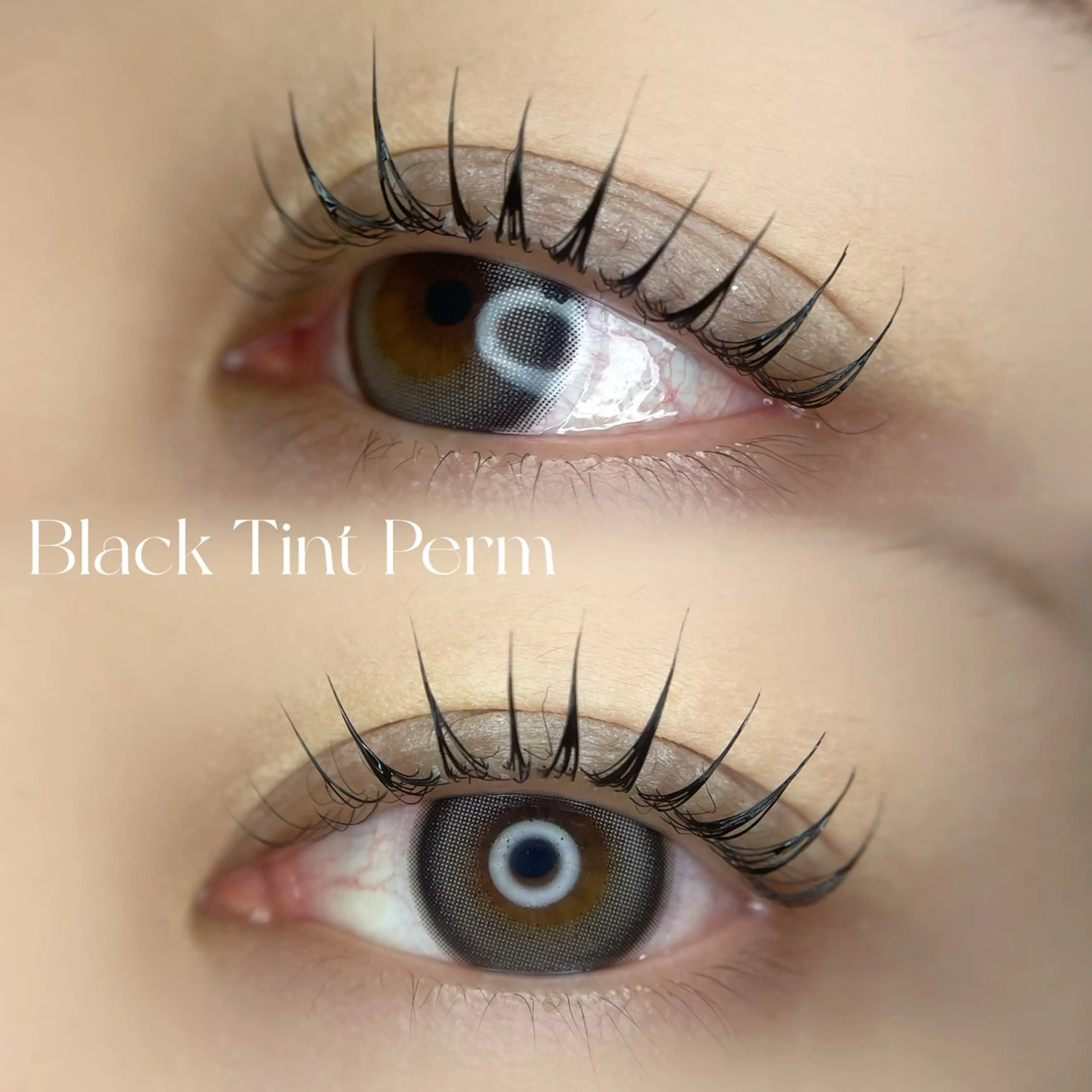 【ご新規様限定🩶】ブラックティントパーマ🐈‍⬛🌙の写真