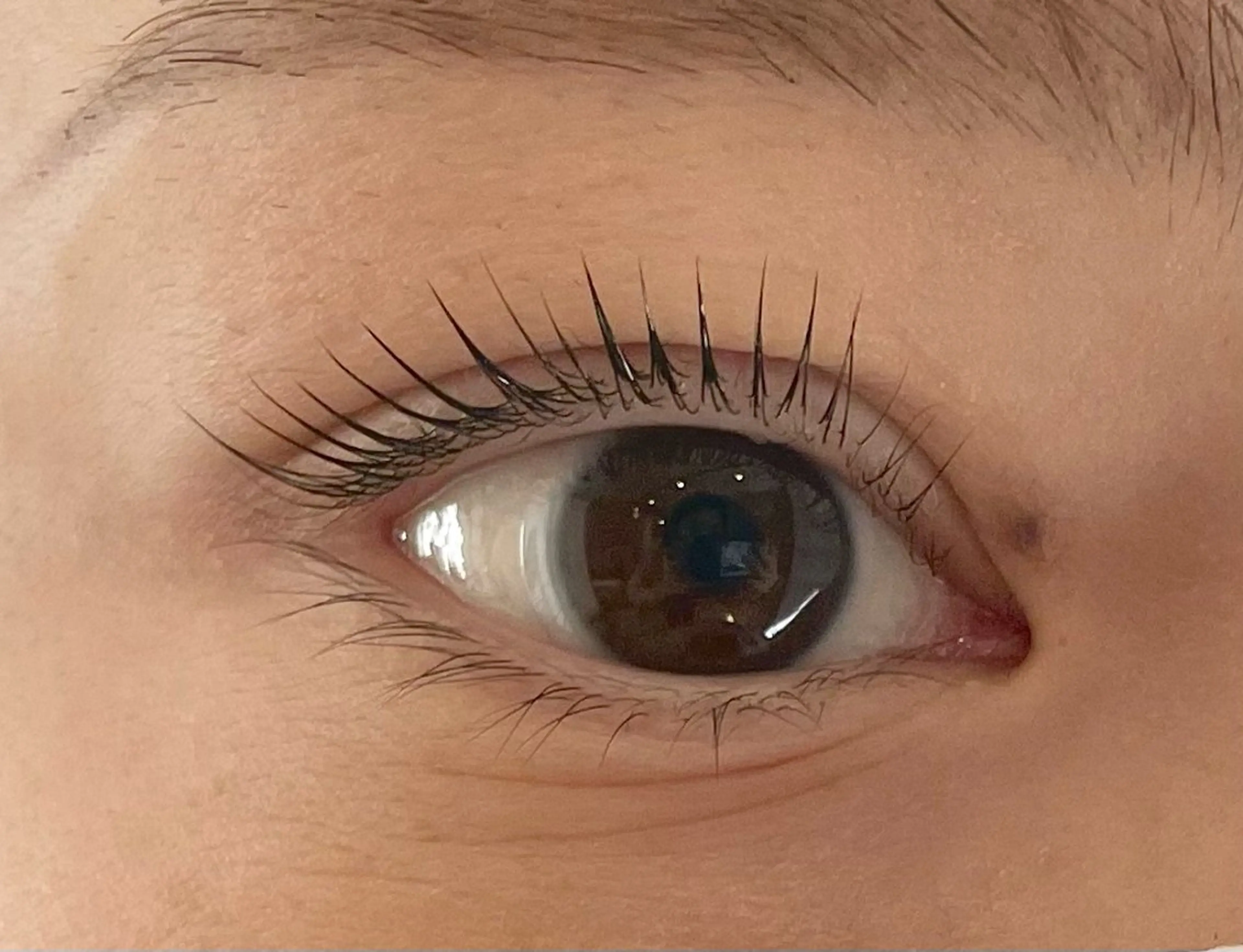 マツエク・マツパ Sol フジイのマツエク・マツパデザイン