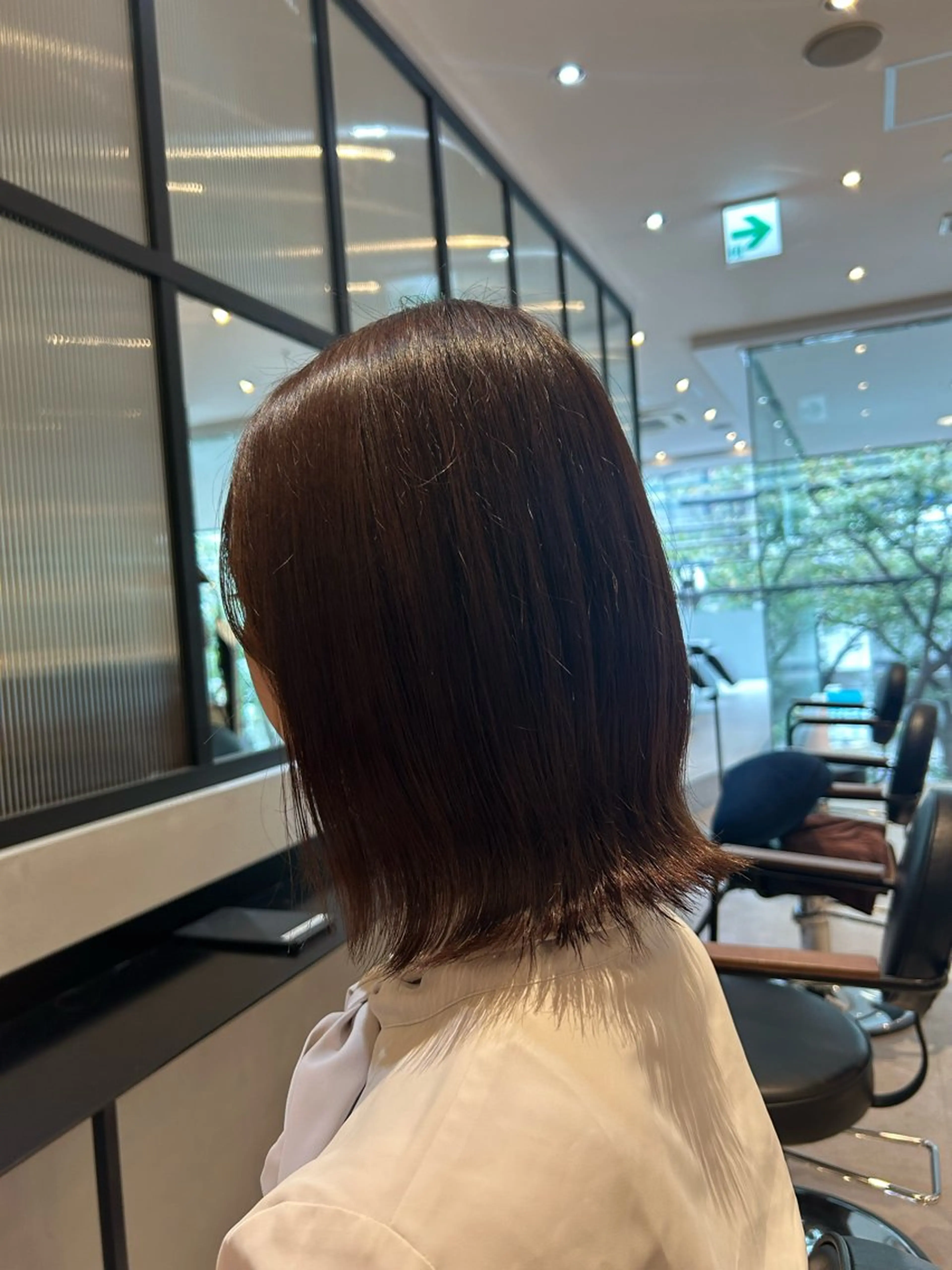 ミディアム カラー ボブレイヤー ボブ レイヤーカット 縮毛矯正/カット/ 韓国ヘア/蛯原🍤のヘアスタイル