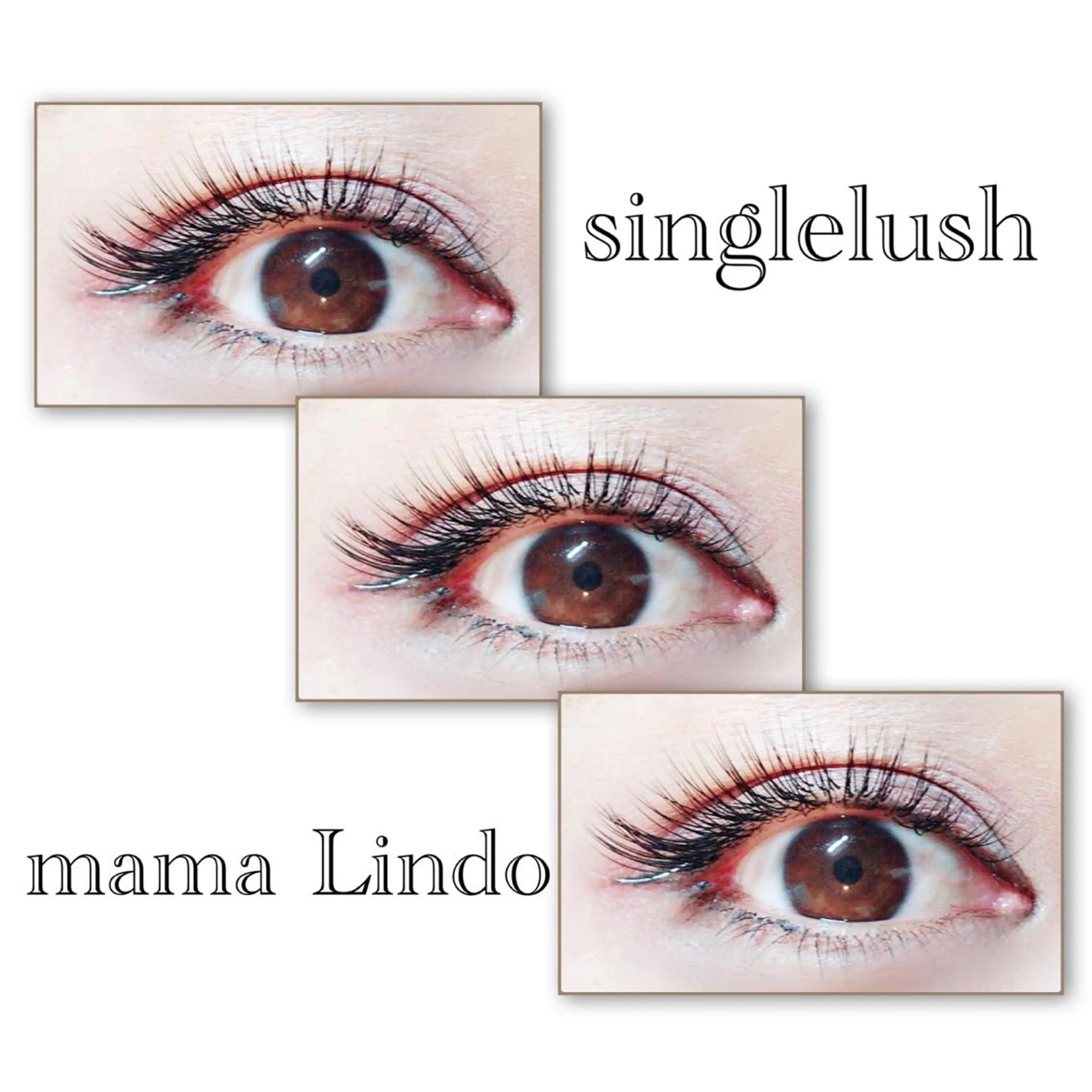 マツエク・マツパ マツエク mama Lindo所属・谷口 沙希のマツエク・マツパデザイン