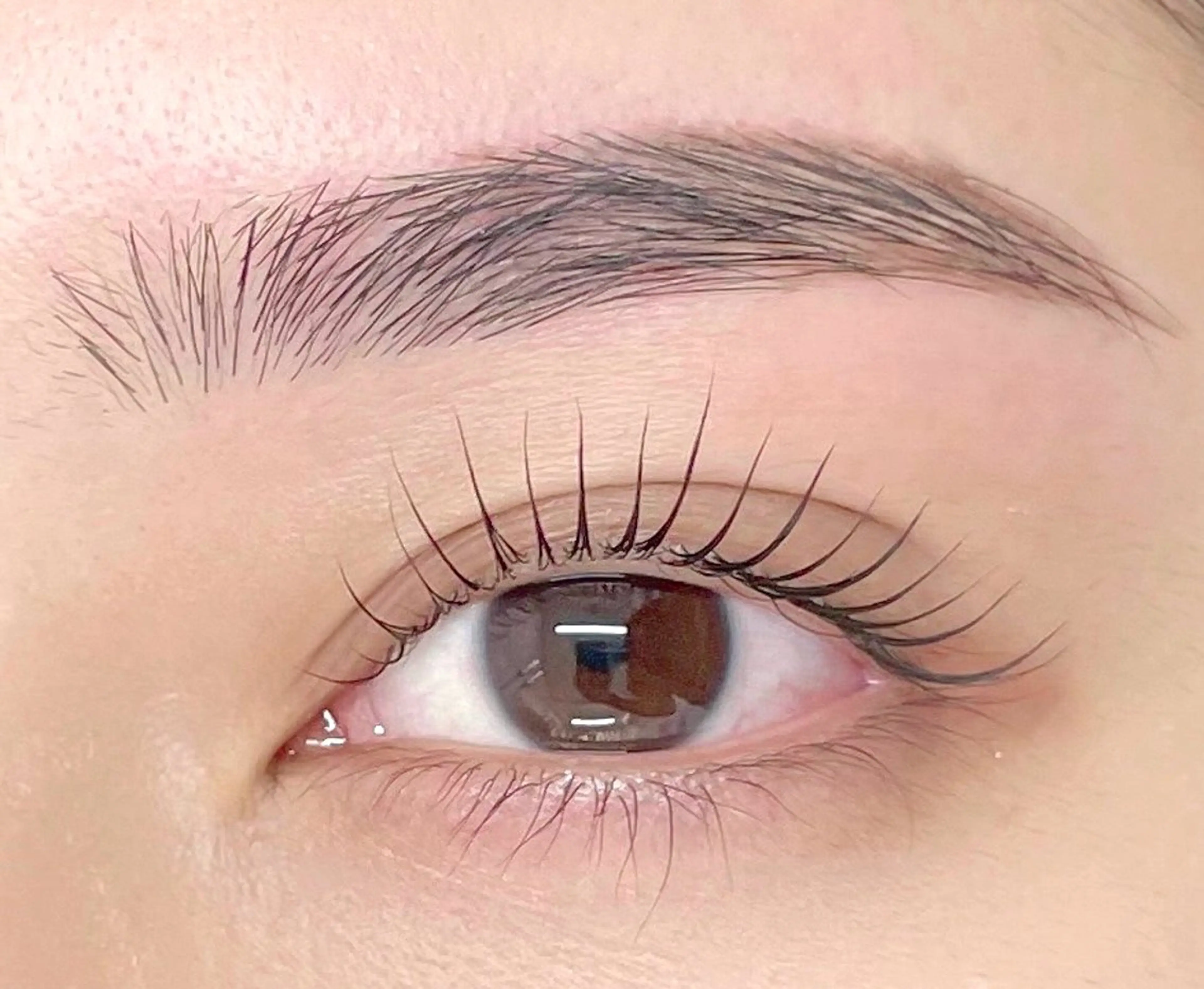 人気no.2🎗️🤍まつ毛パーマ・パリジェンヌも可◎&アイブロウwaxお目元垢抜けセットメニュー✨の写真