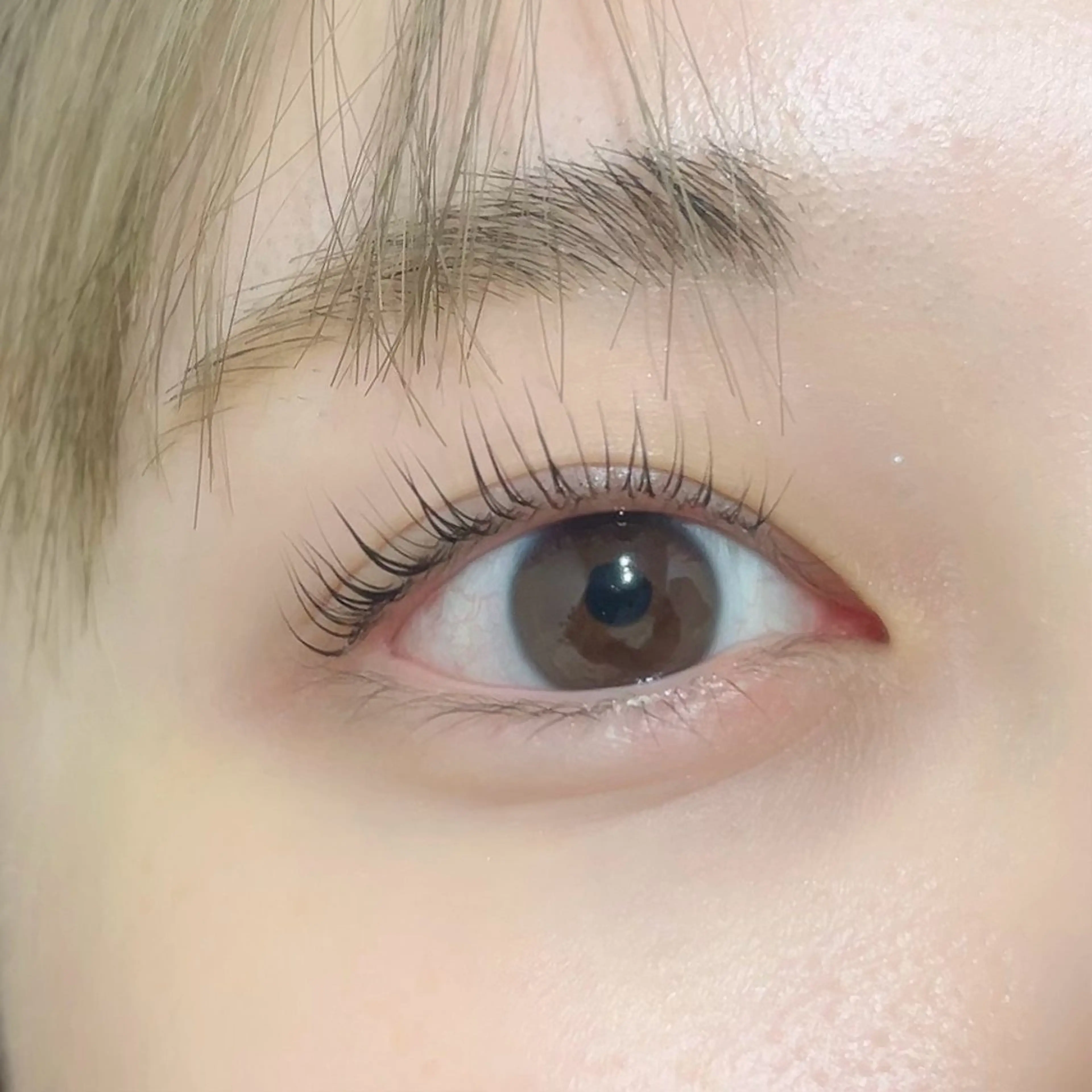 マツエク・マツパ パリジェンヌラッシュリフト EYELA万代店 池田のマツエク・マツパデザイン