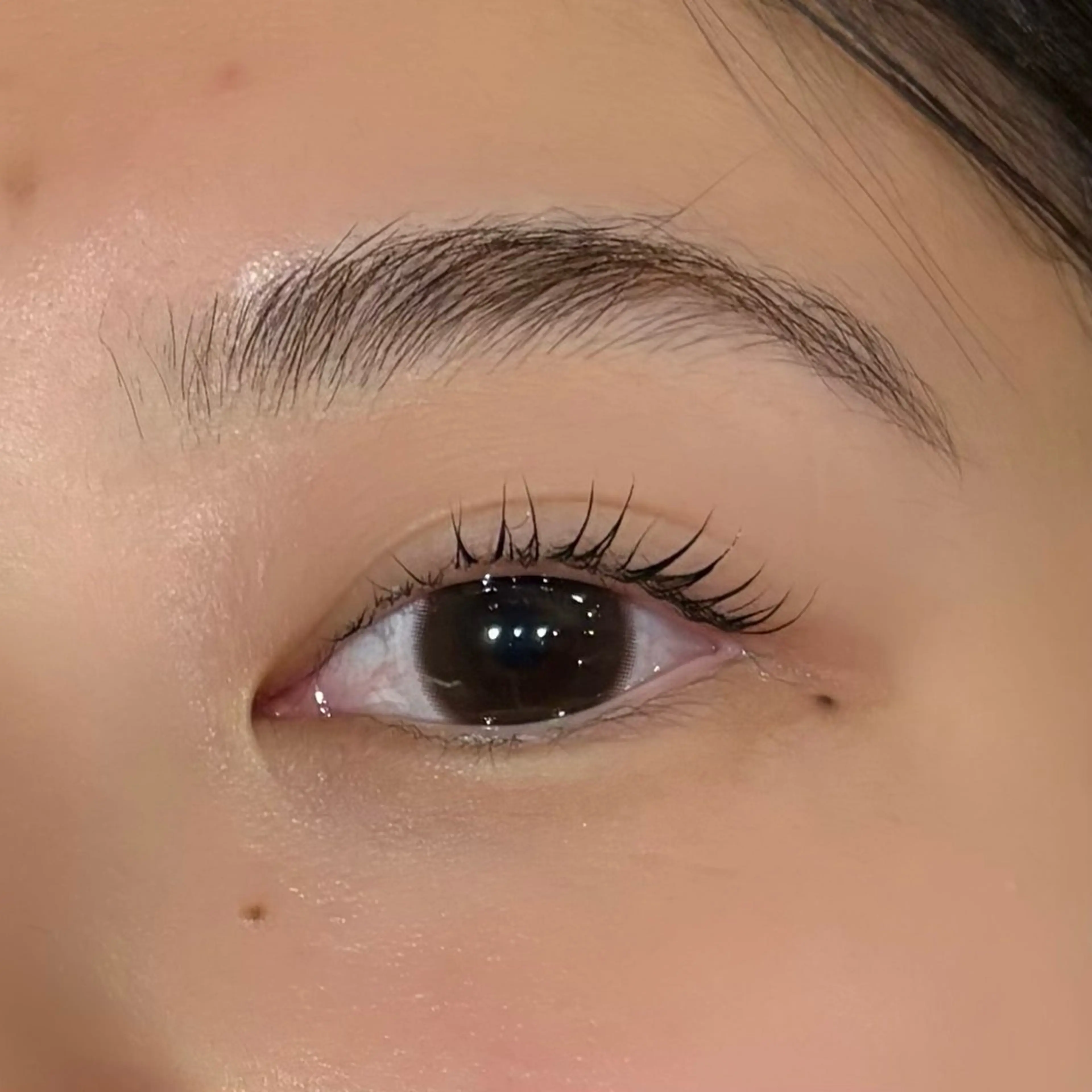 マツエク・マツパ マツパ アイブロウ⭐️ カラーモデル/YUIの眉毛・アイブロウイメージ