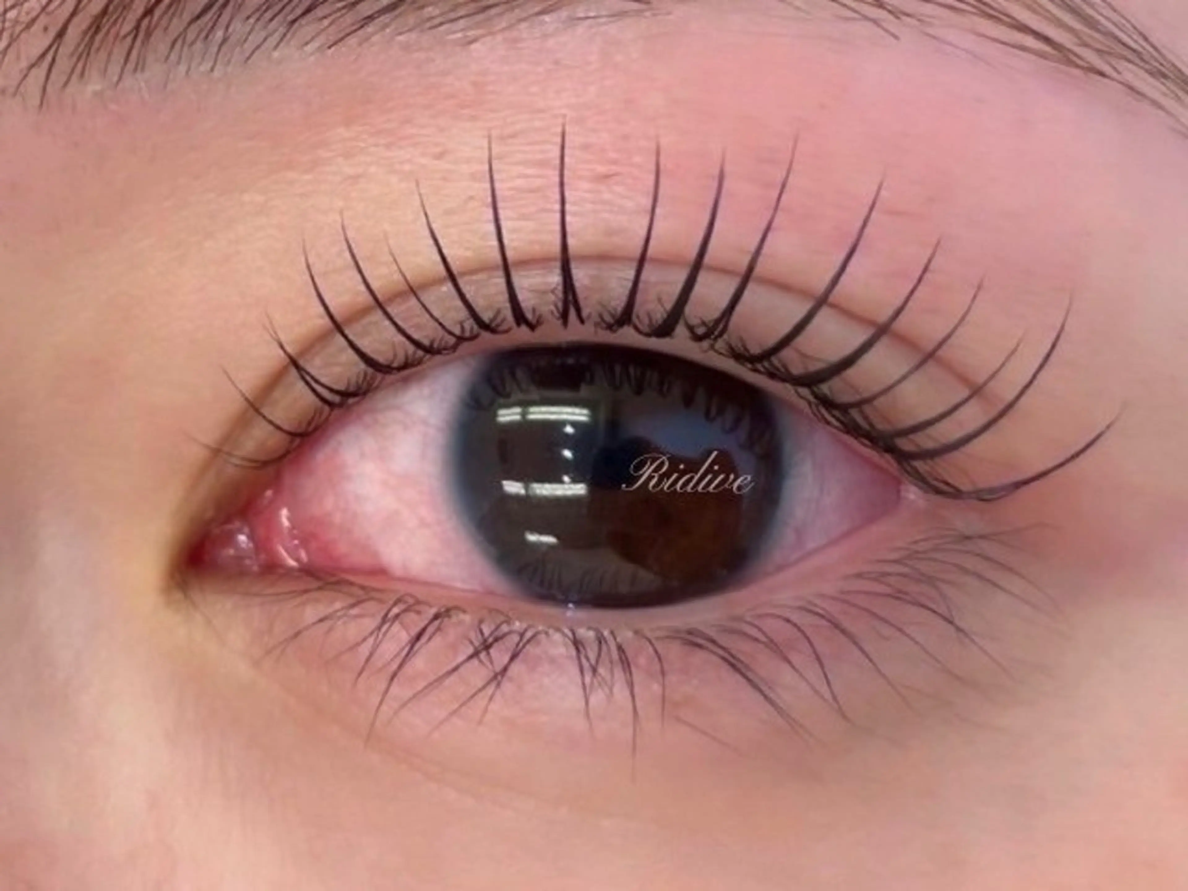 パーマ アイブロウサロンRidive武蔵小杉所属・Ridive Endo🍙の眉毛・アイブロウイメージ