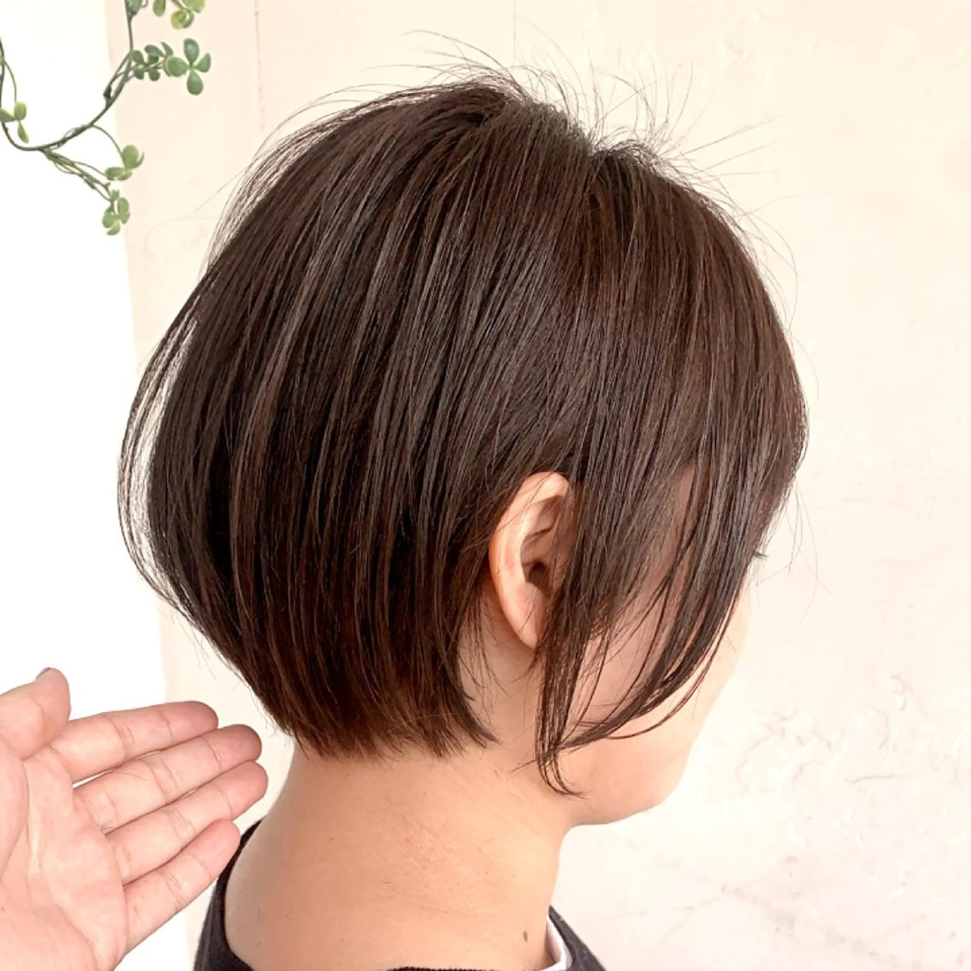 ショート カラー ショートボブ ハンサムショート 丸みショート デザインカラー ハイライトカラー カット ヘアカラー トリートメント 京都大人女性ショート 徒歩1分/秋山のヘアスタイル