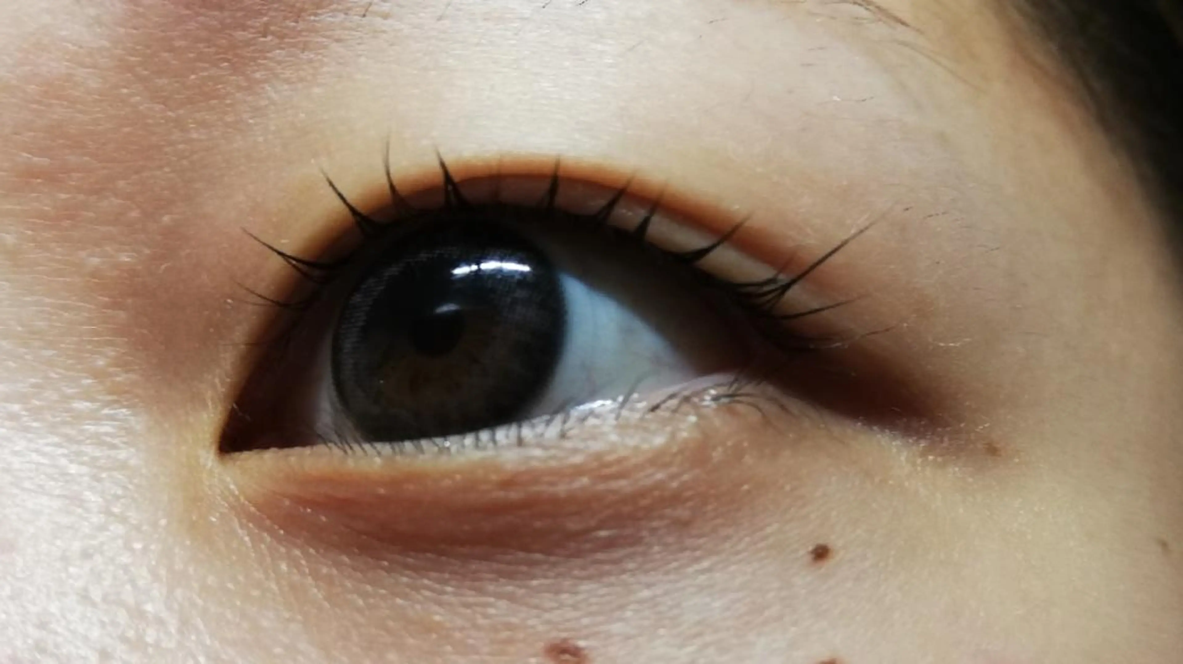 マツエク・マツパ Dカール angelux 所属・完全個室サロン🌹 angelux🌹のマツエク・マツパデザイン