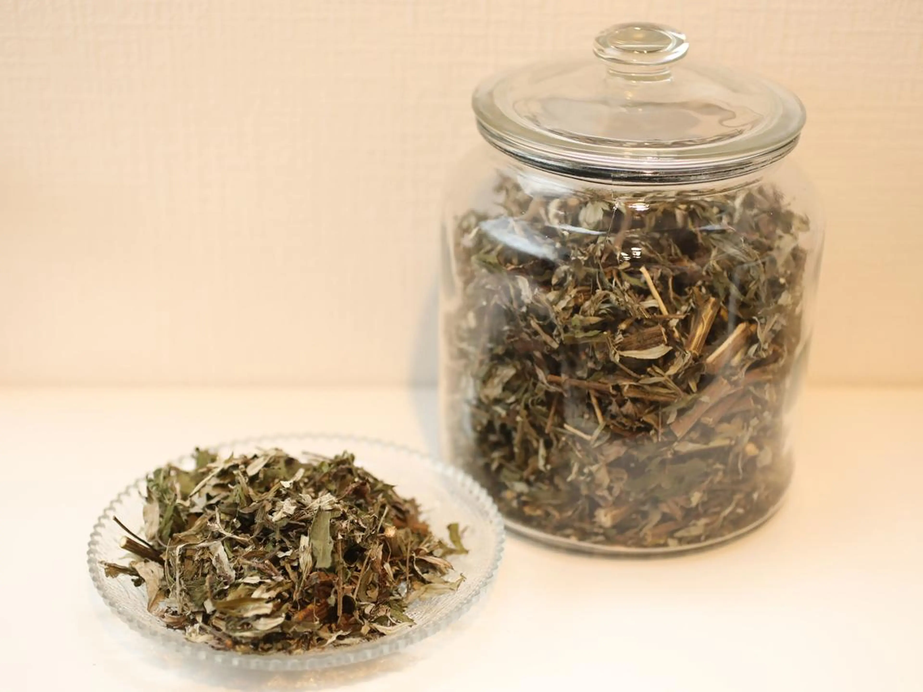 よもぎ蒸し専門店Artemisia所属・よもぎ蒸し専門店 Artemisiaのエステ・リラクイメージ