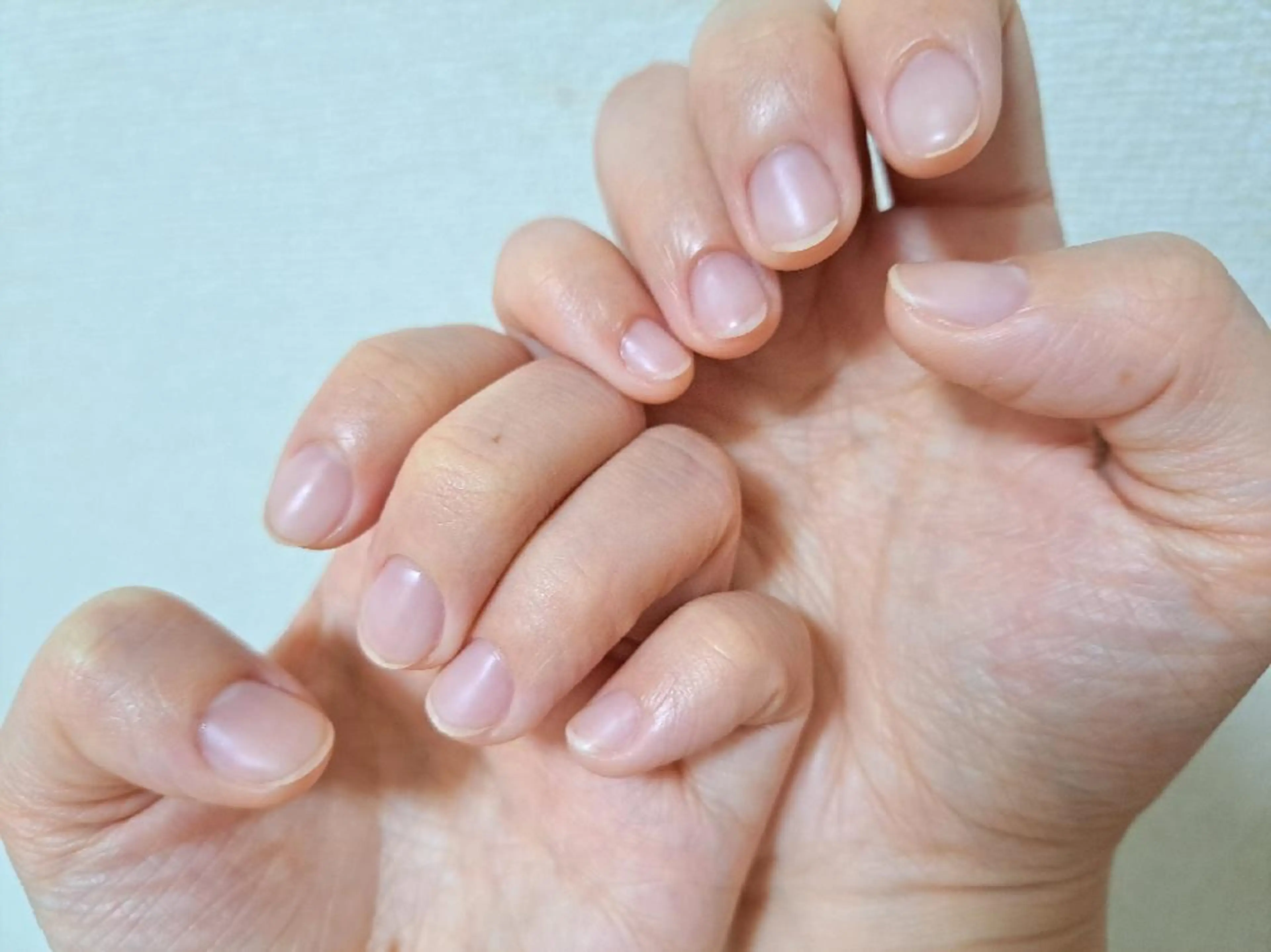 ネイル マットネイル ハンドネイル フットネイル Lupinus所属・Lupinus ルピナスのネイルデザイン