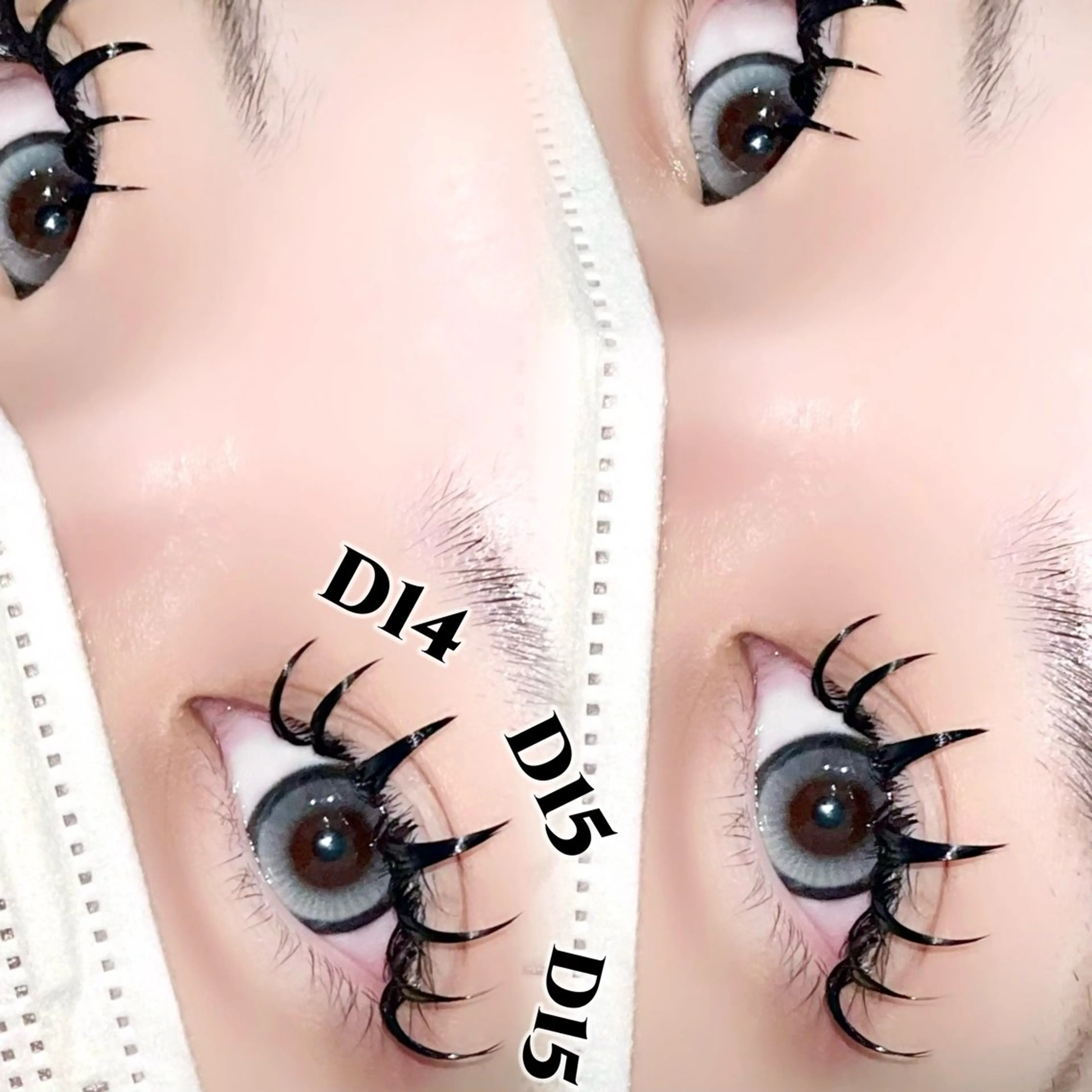 バインドロック120束🦋の写真