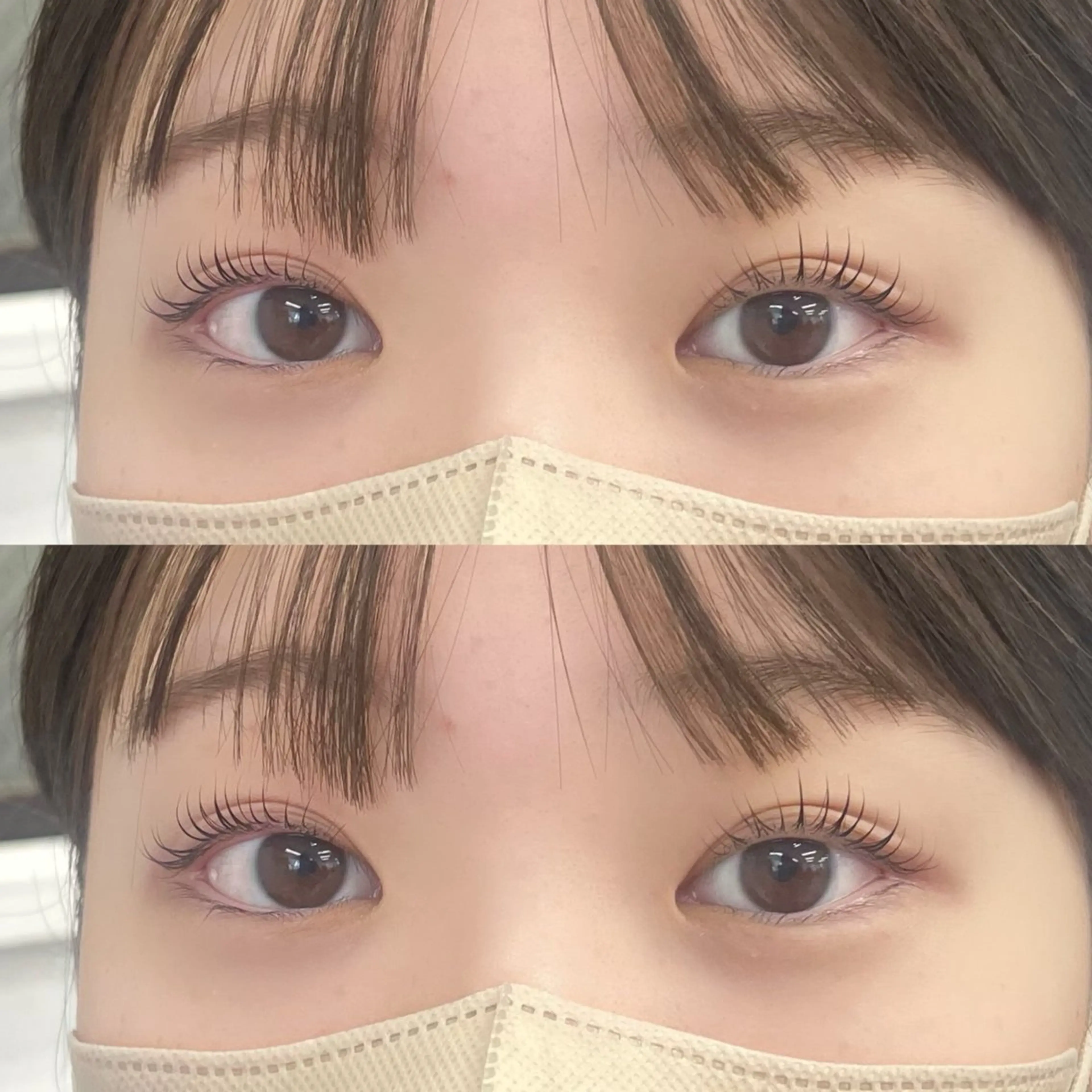 🎀時短メニュー　アイブロワックス➕まつげパーマ🎀の写真