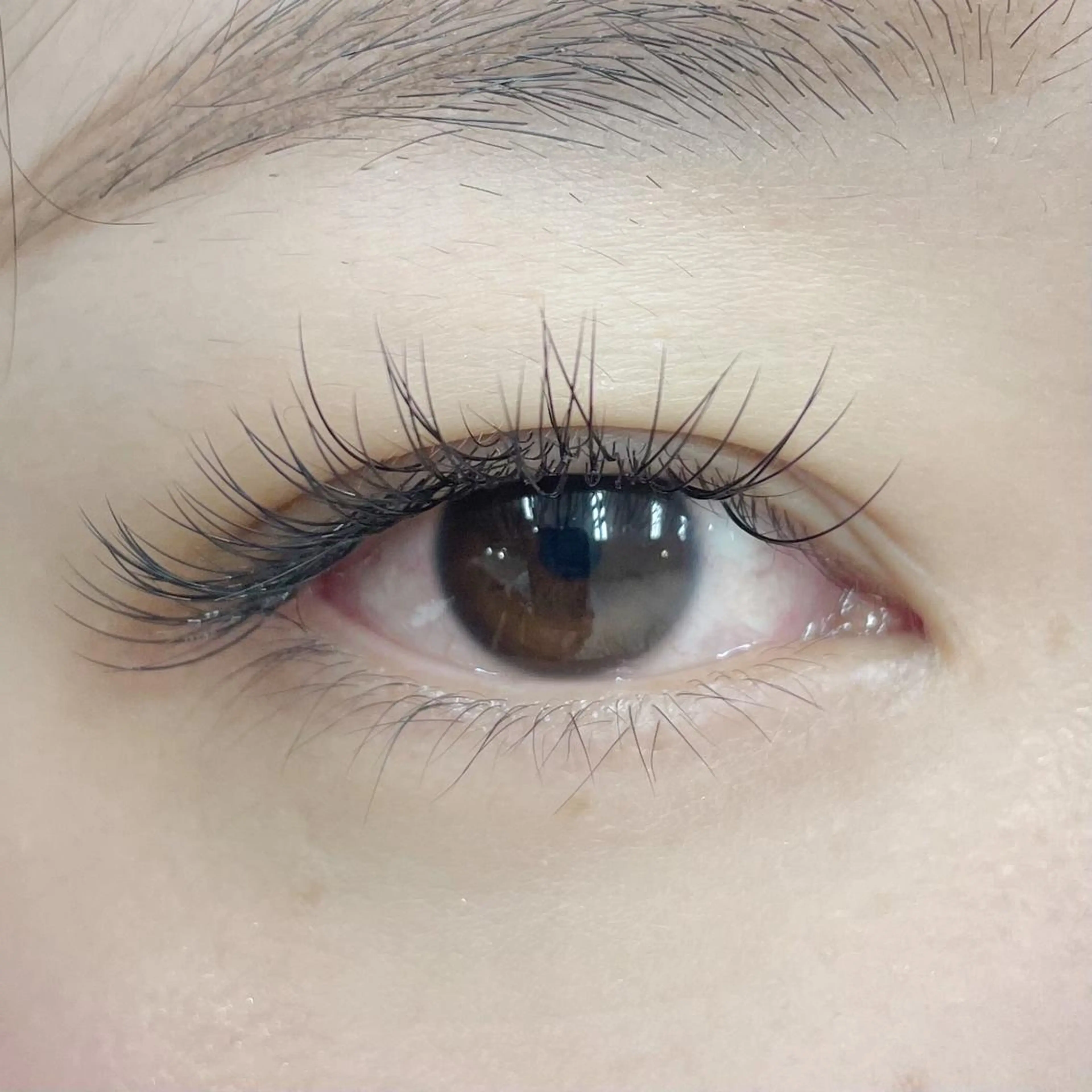 マツエク・マツパ Cカール ナチュラル セーブル yuzuka ❤︎のマツエク・マツパデザイン