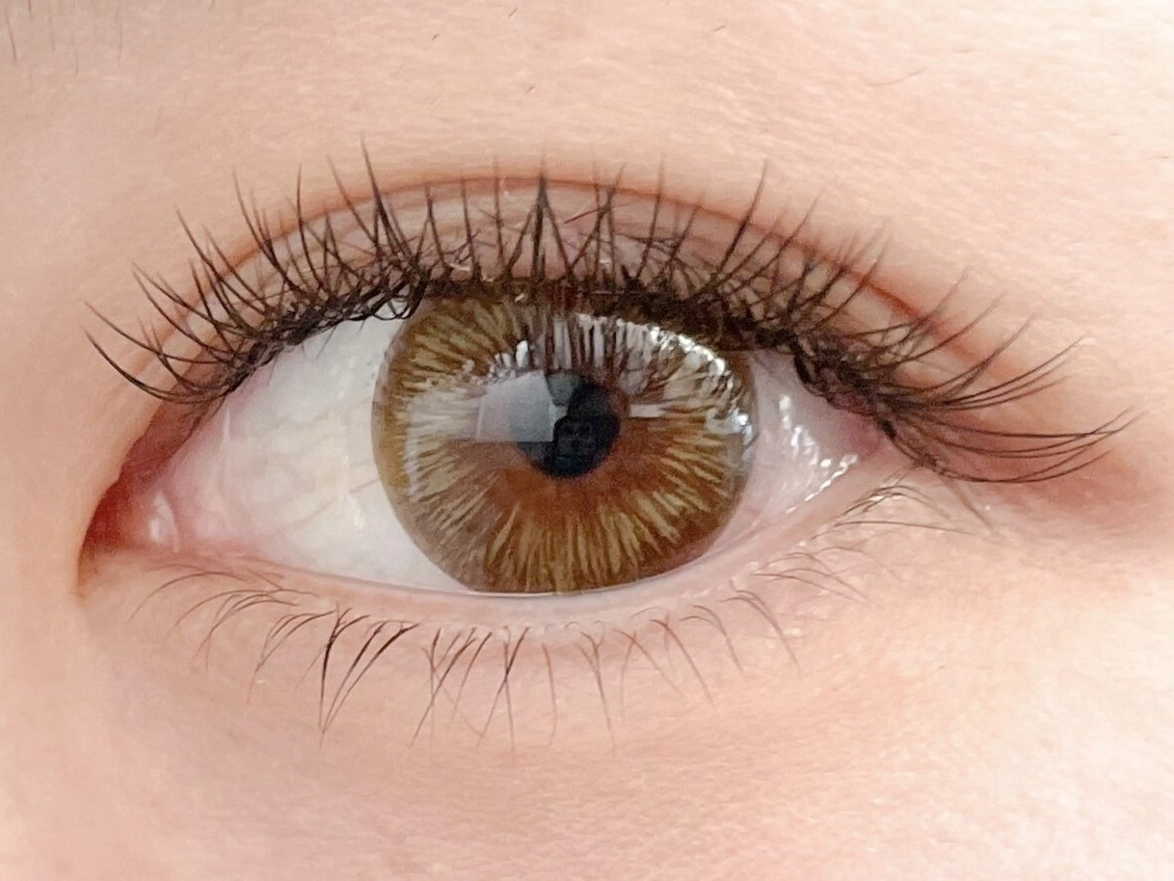 マツエク・マツパ ANEMONA nail&lashのネイルデザイン