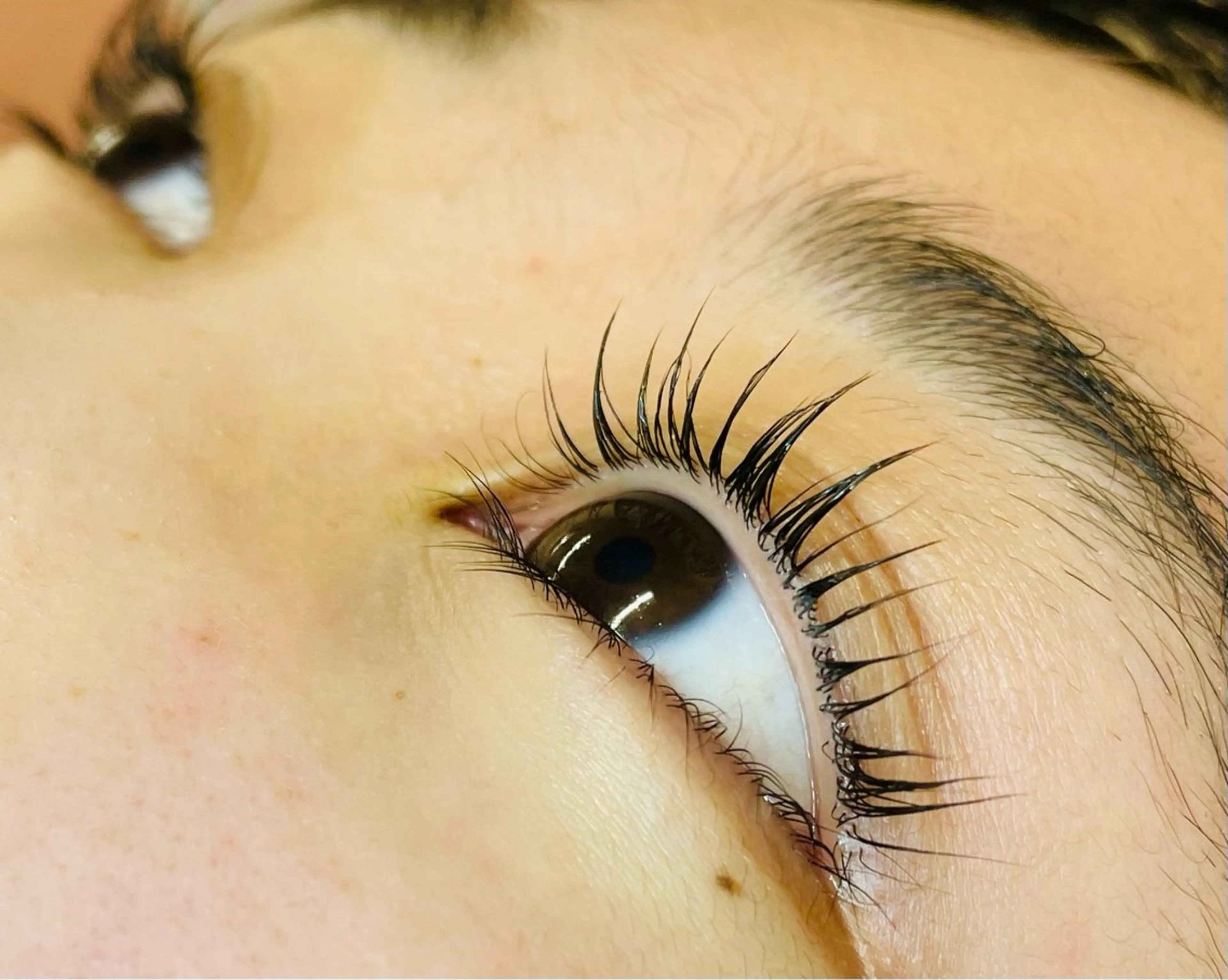 マツエク・マツパ パリジェンヌラッシュリフト 🌼AI 🌼の眉毛・アイブロウイメージ