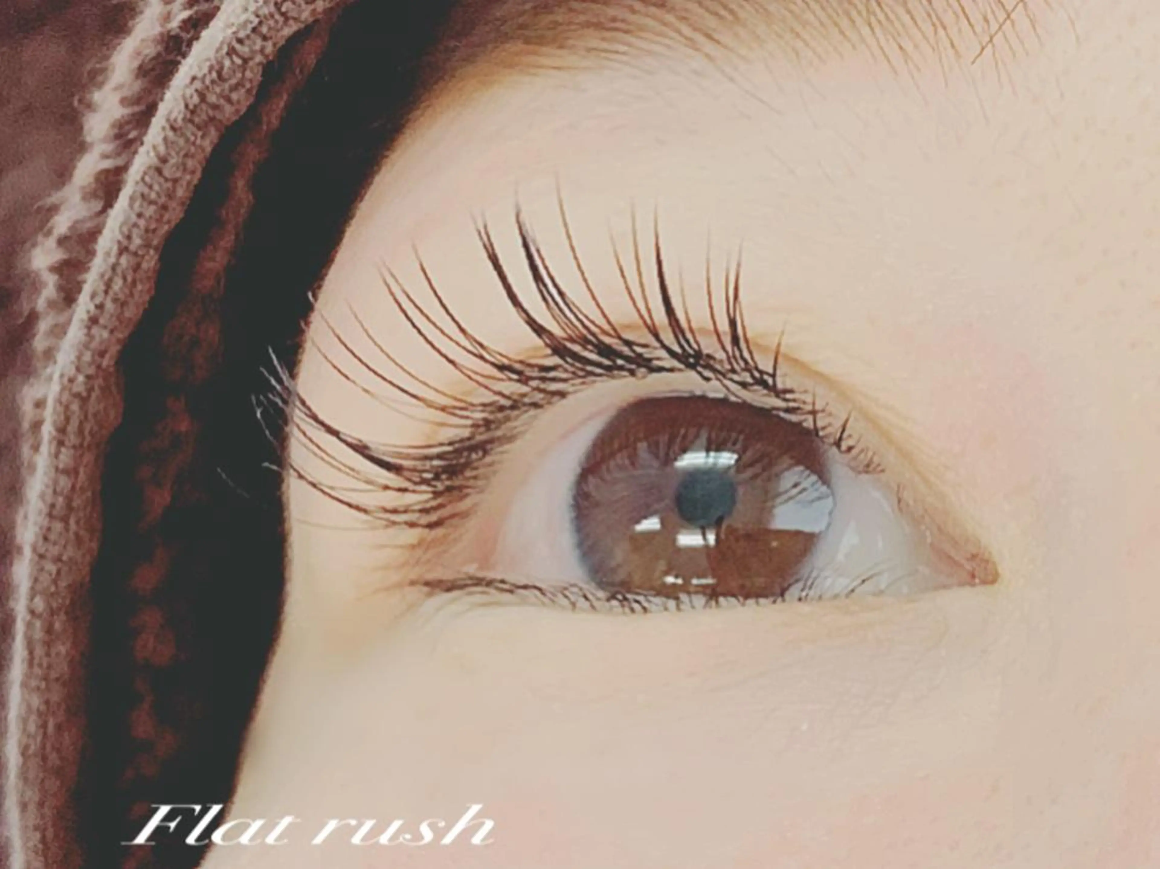 フラットラッシュ100本の写真