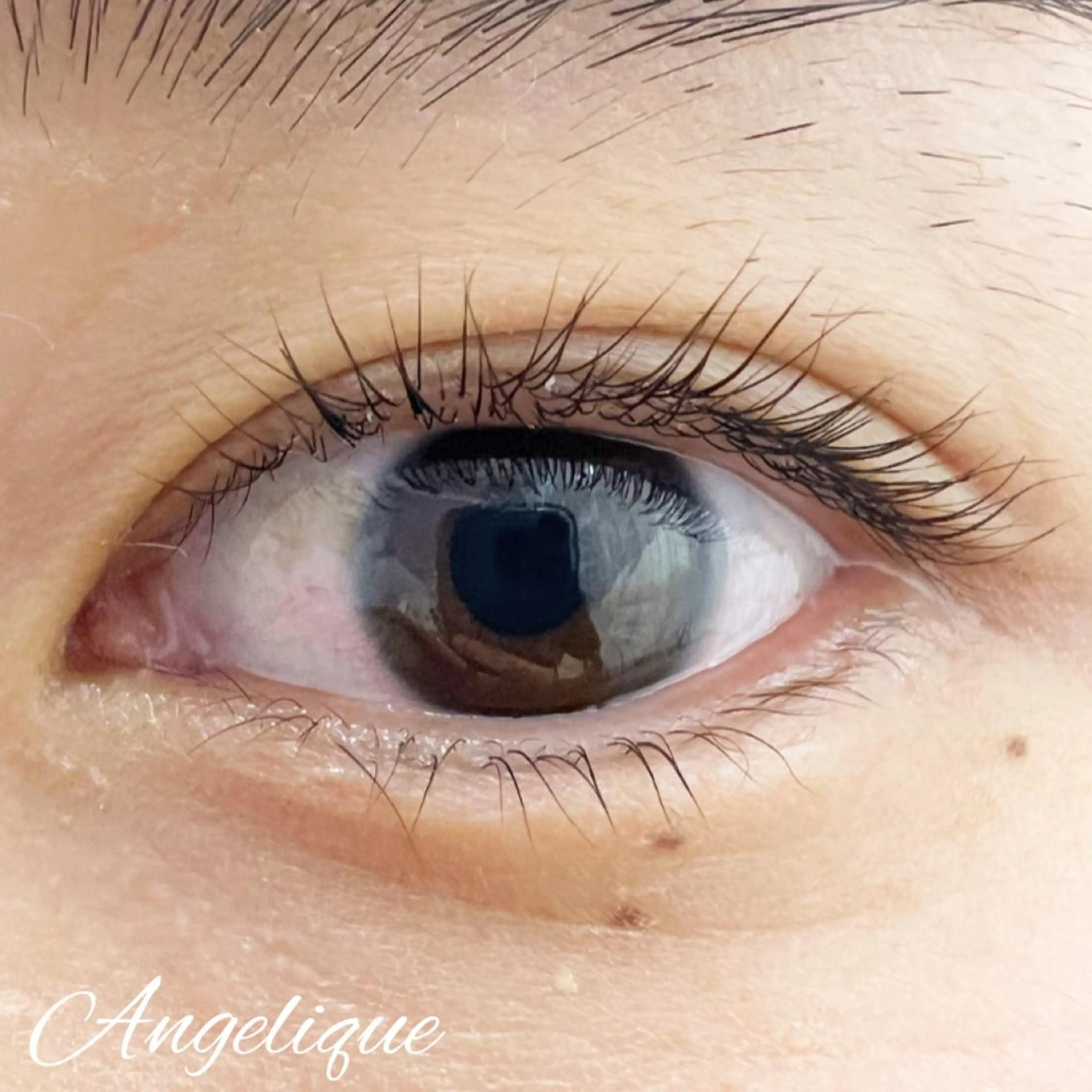 マツエク・マツパ 一重×まつ毛パーマ 田村 莉子のマツエク・マツパデザイン