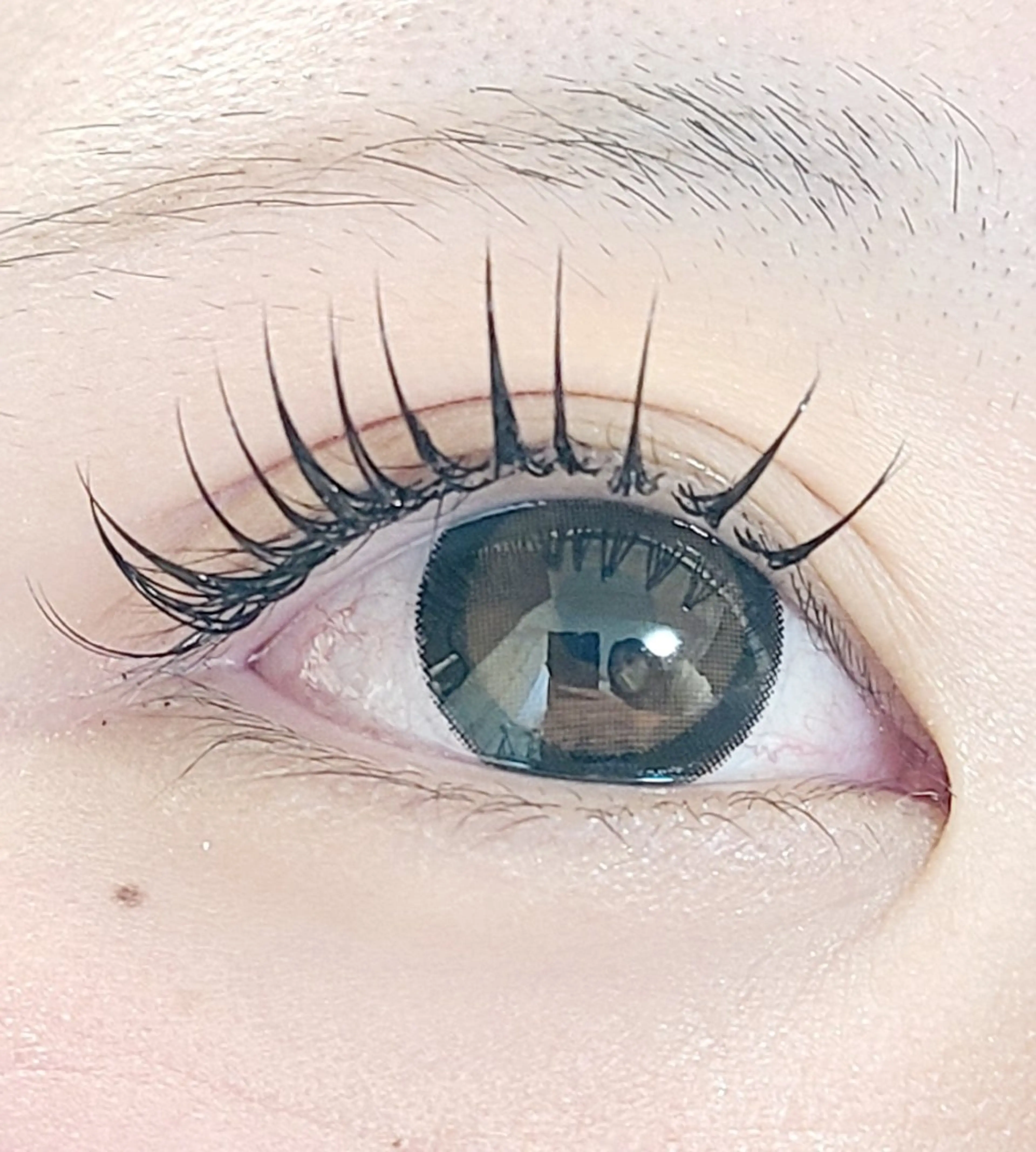 マツエク・マツパ マツエク セレビアイ/ ISHIIのマツエク・マツパデザイン