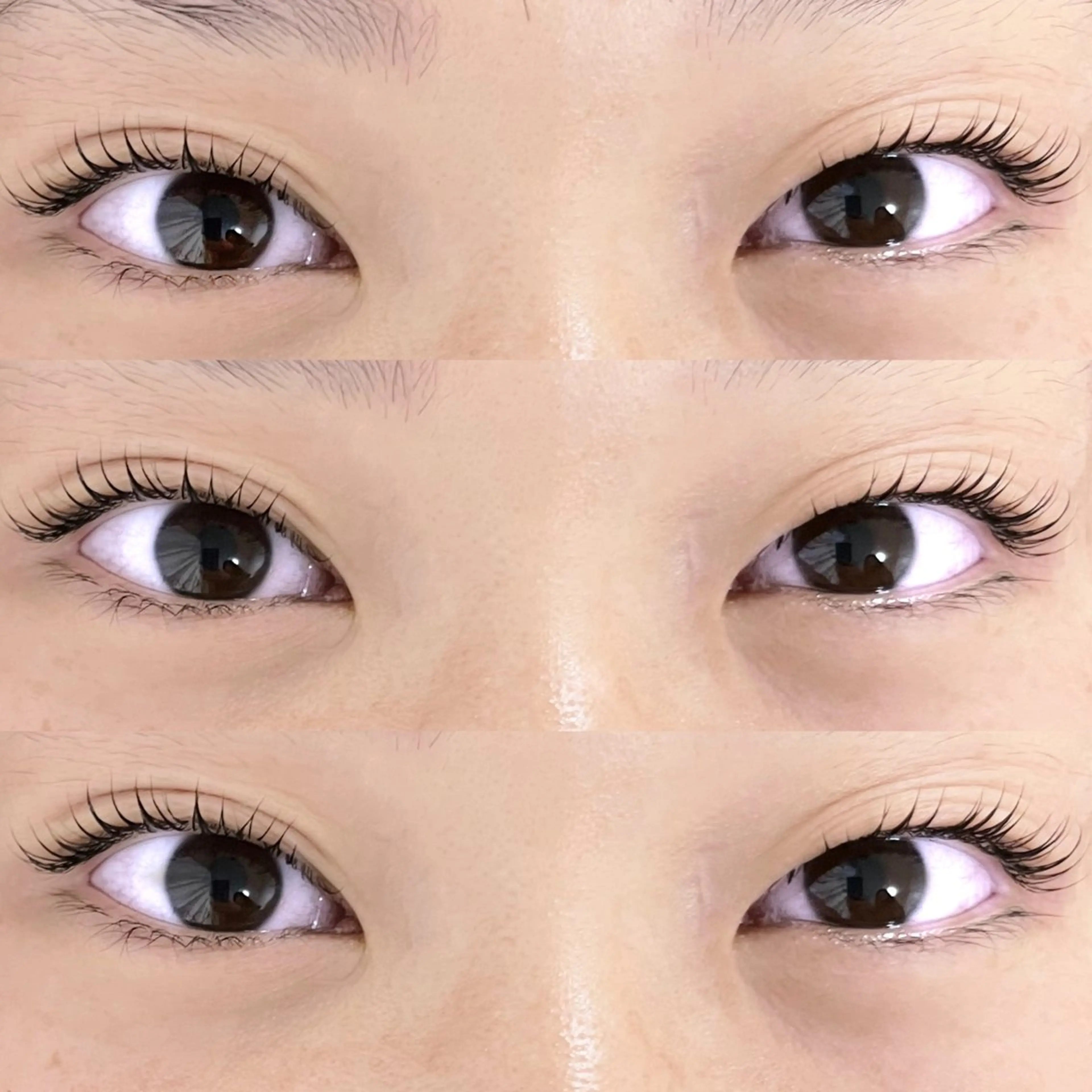 🫶現在or今年20歳の方🫶大人気まつげパーマ🧚🏻‍♀️※学生じゃなくてもこちらのクーポンは使っていただけます✌︎の写真